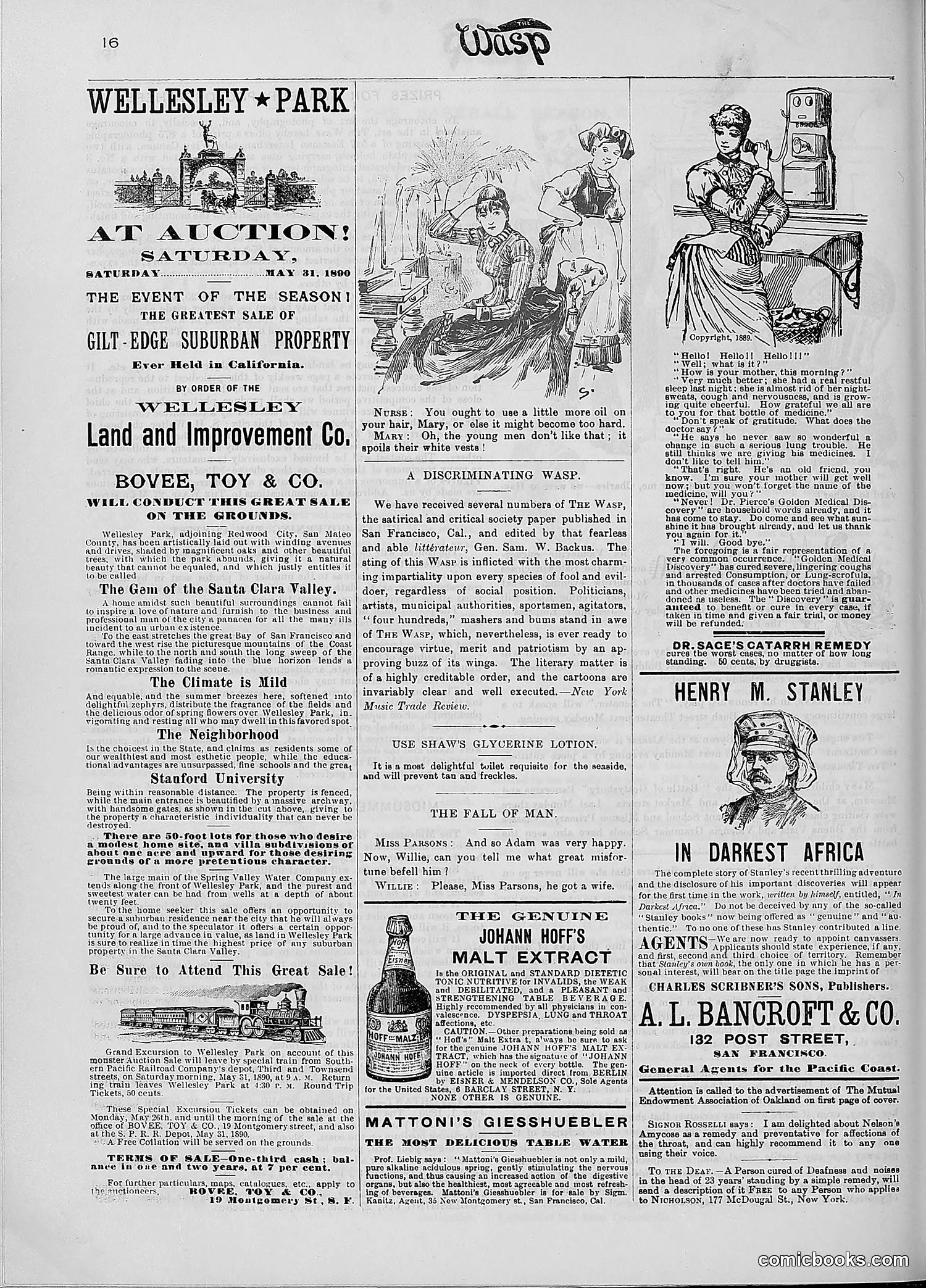 The Wasp — 1890 — page 387 of 516