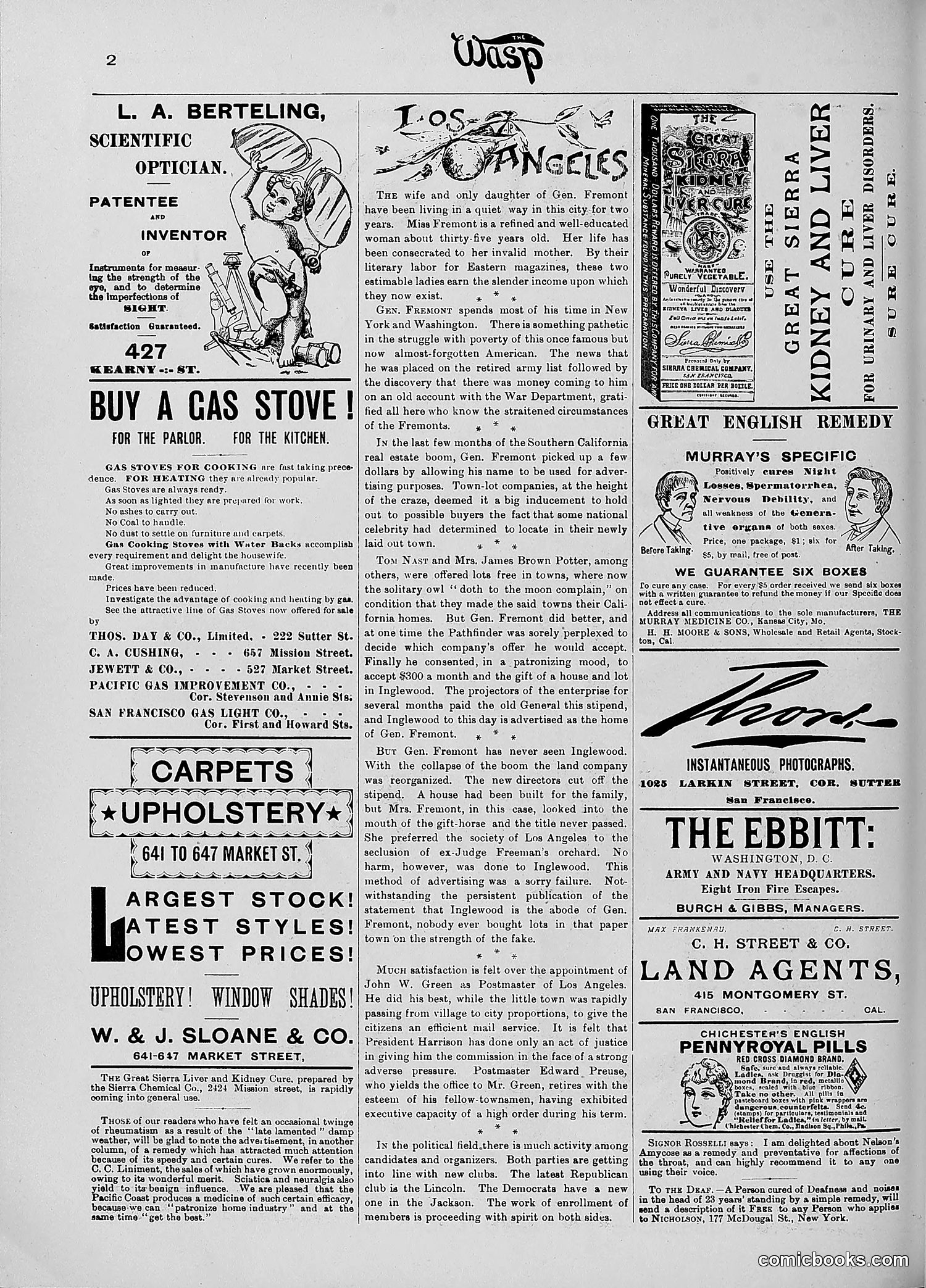 The Wasp — 1890 — page 393 of 516