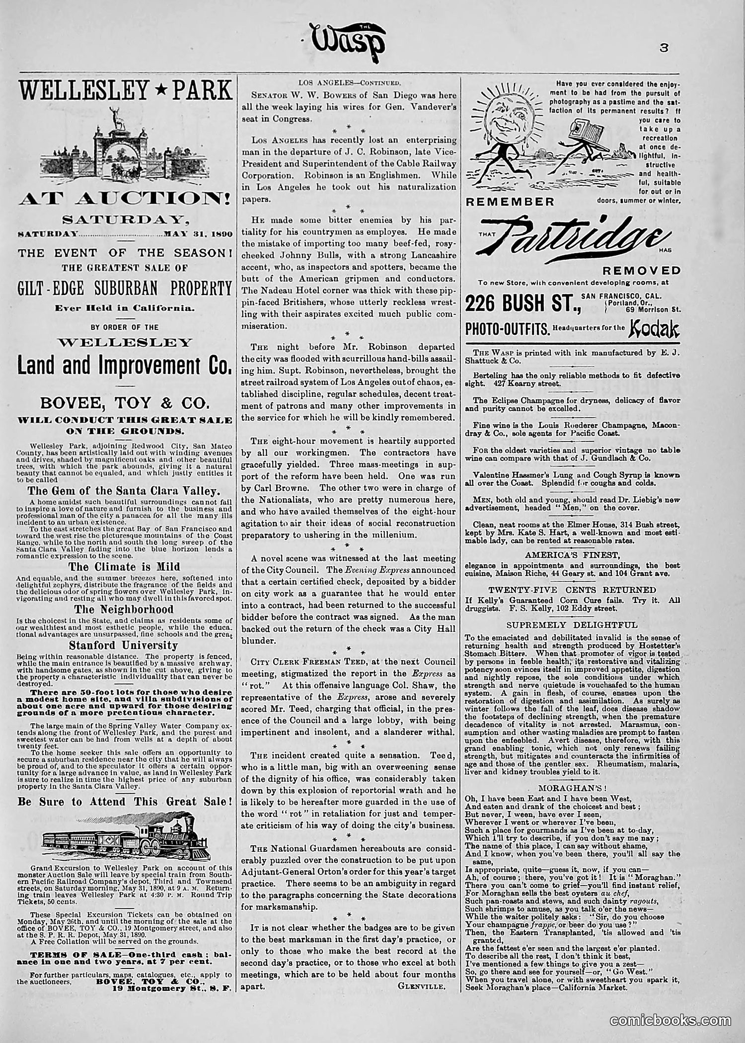 The Wasp — 1890 — page 394 of 516