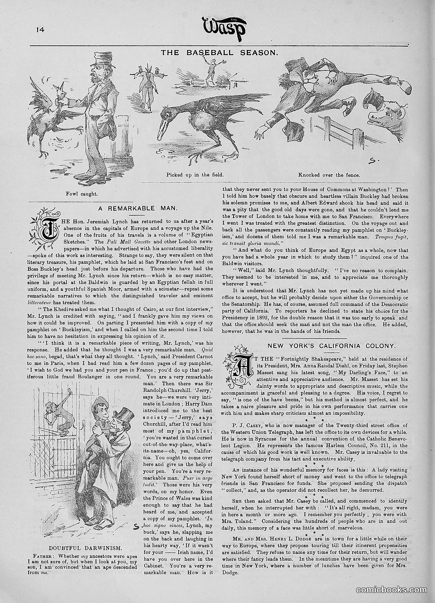 The Wasp — 1890 — page 405 of 516