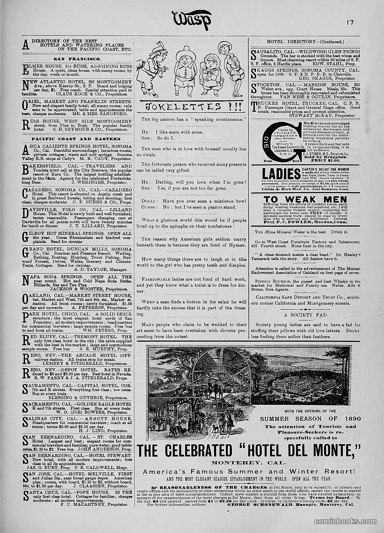 The Wasp — 1890 — page 408 of 516