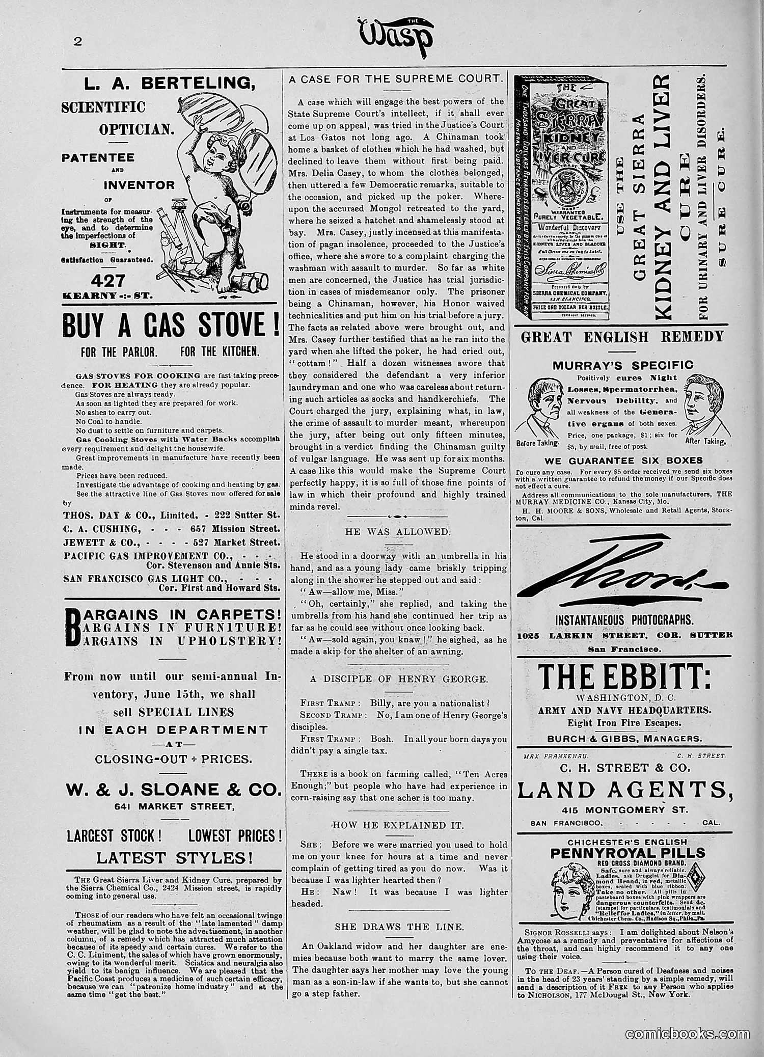 The Wasp — 1890 — page 413 of 516