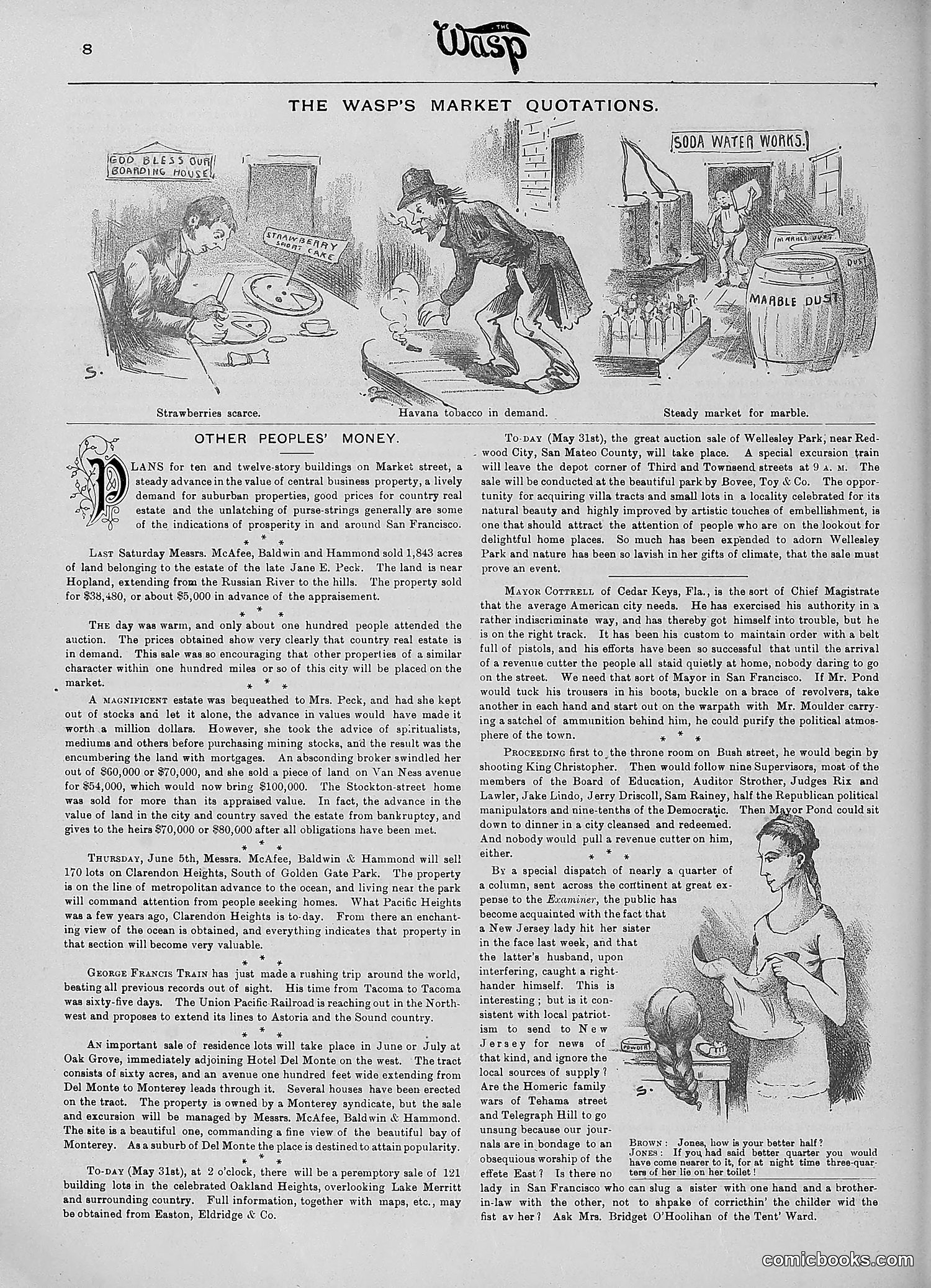 The Wasp — 1890 — page 419 of 516