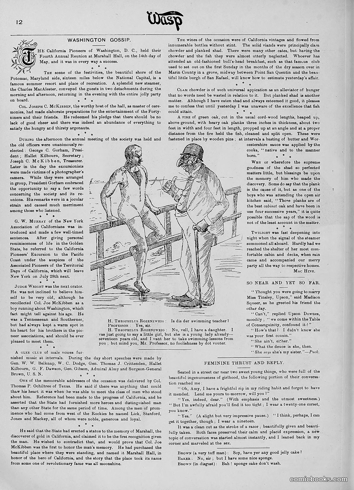 The Wasp — 1890 — page 423 of 516