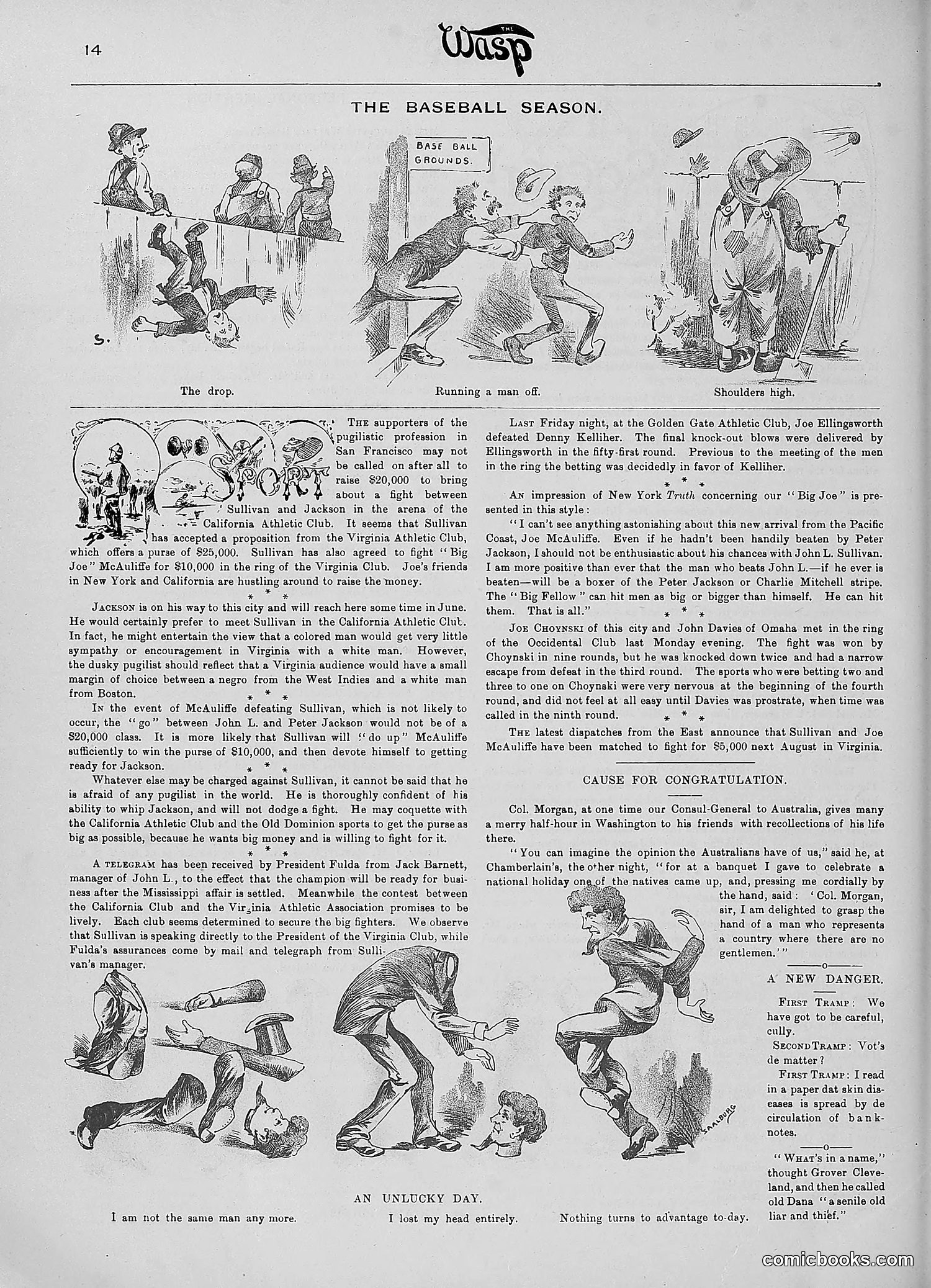 The Wasp — 1890 — page 425 of 516