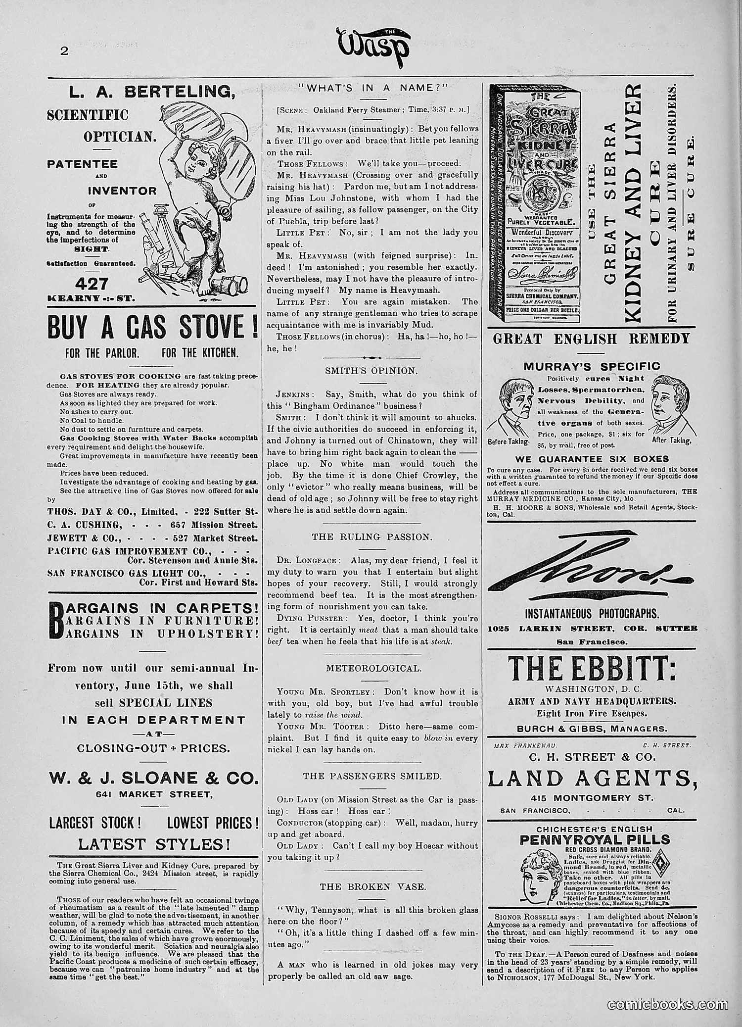 The Wasp — 1890 — page 433 of 516
