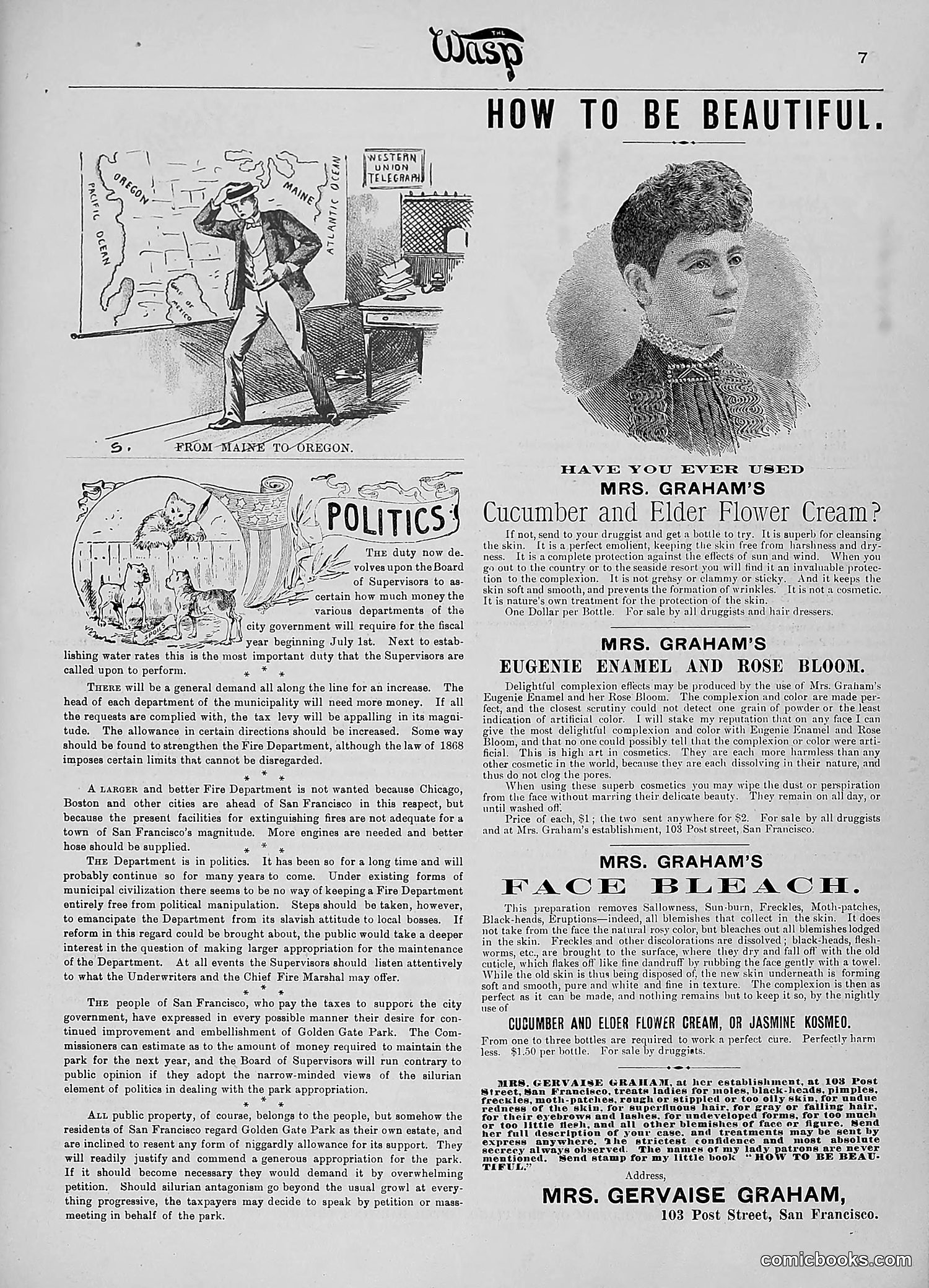 The Wasp — 1890 — page 438 of 516