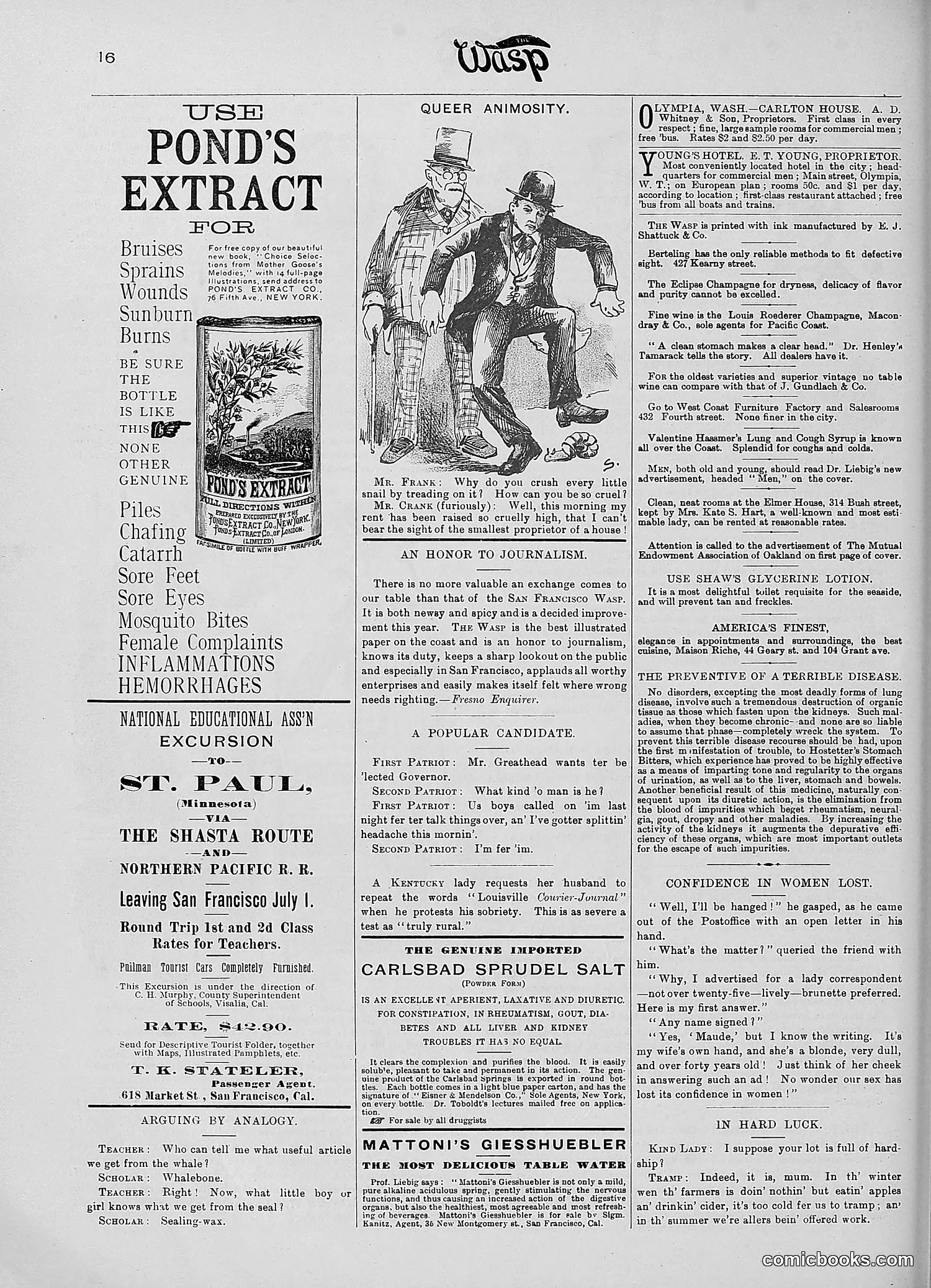 The Wasp — 1890 — page 447 of 516