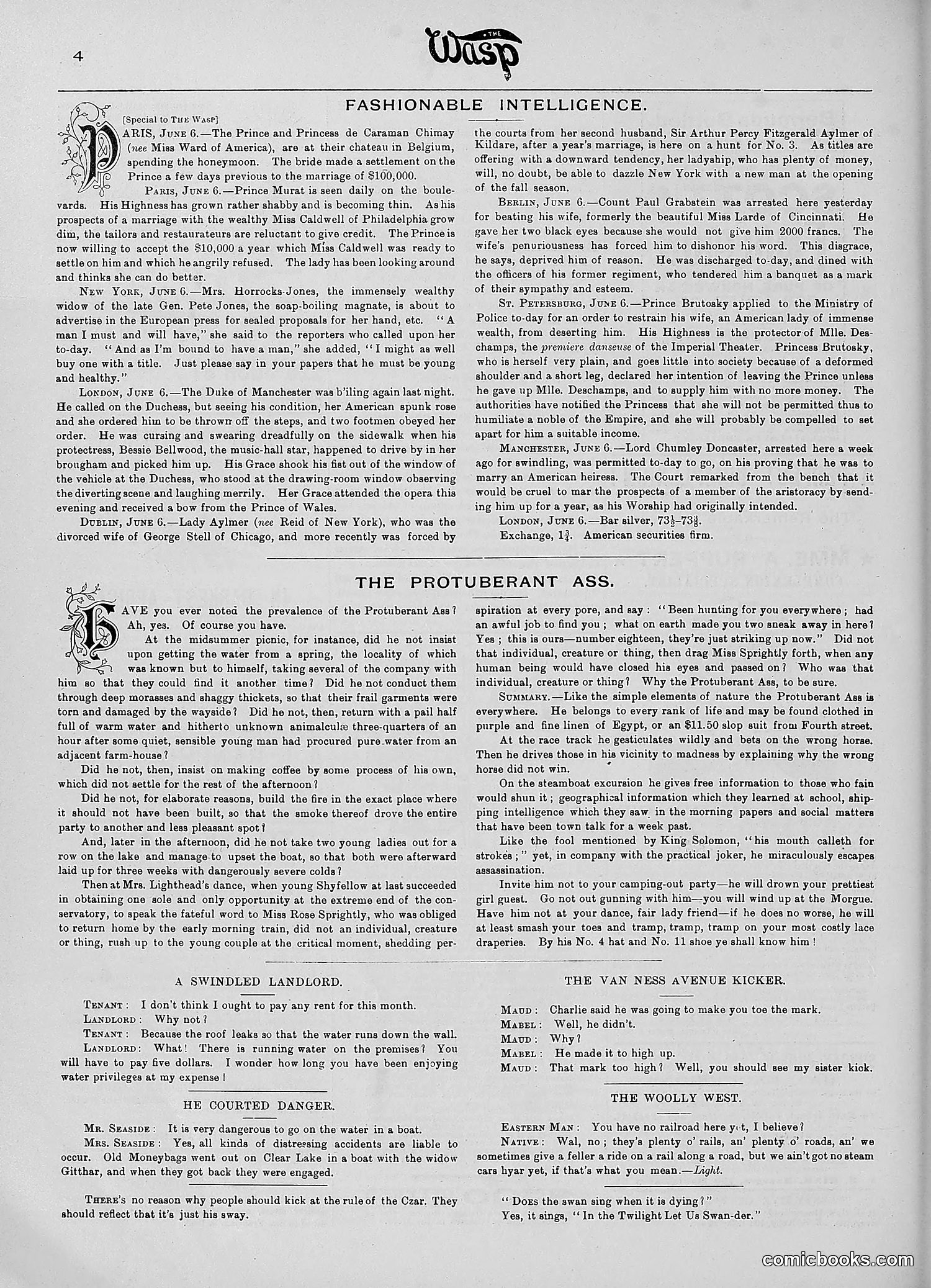 The Wasp — 1890 — page 455 of 516