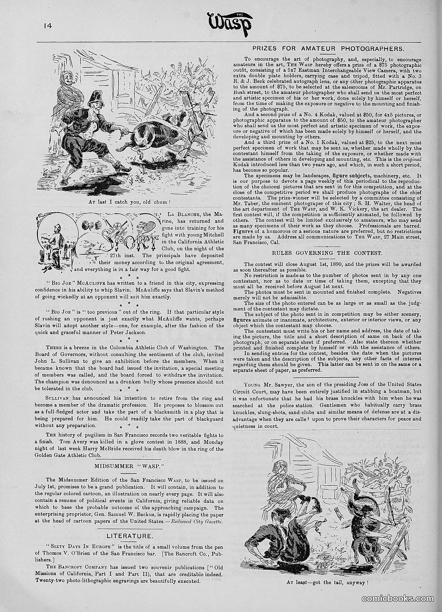 The Wasp — 1890 — page 485 of 516