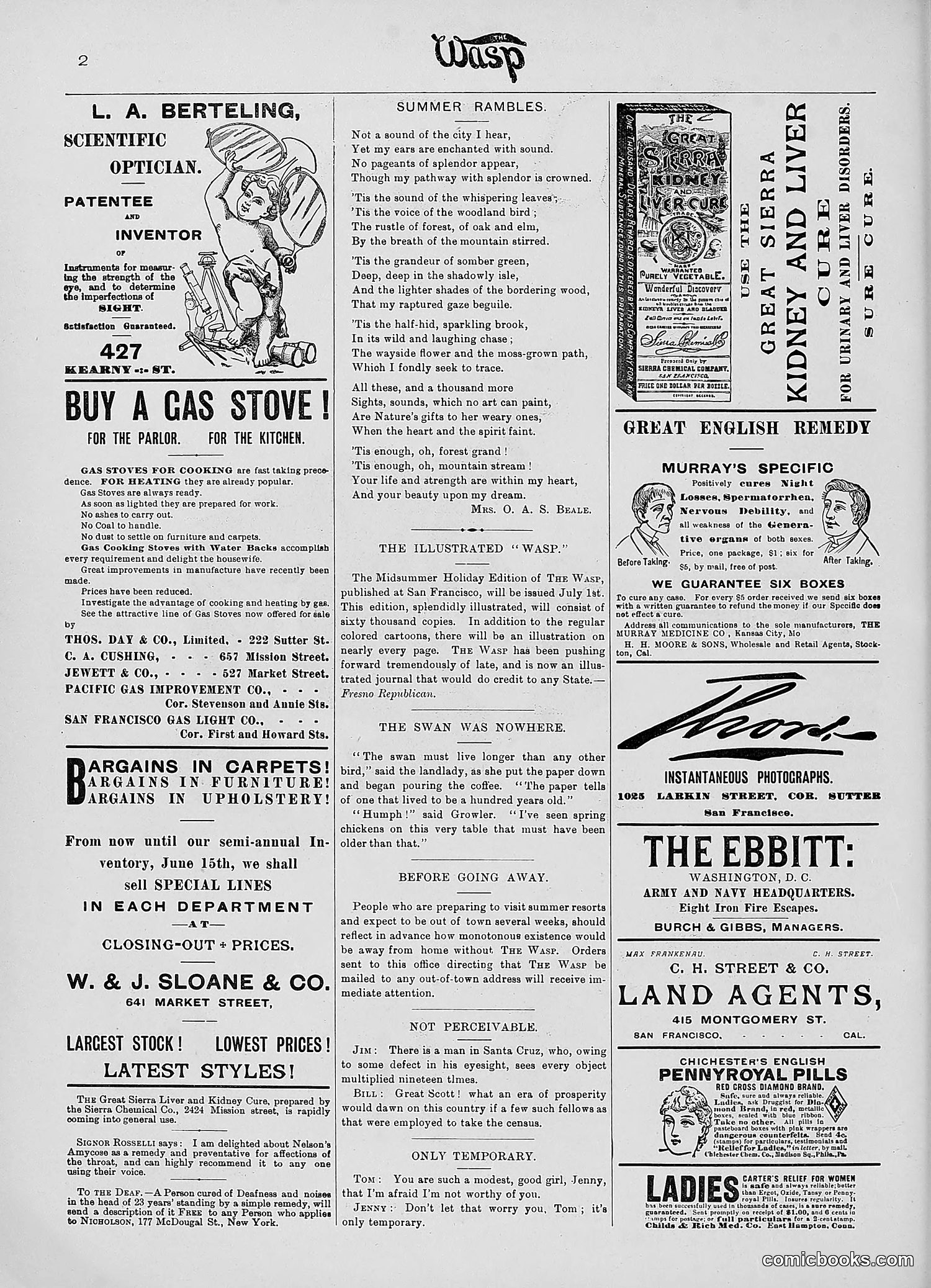 The Wasp — 1890 — page 493 of 516