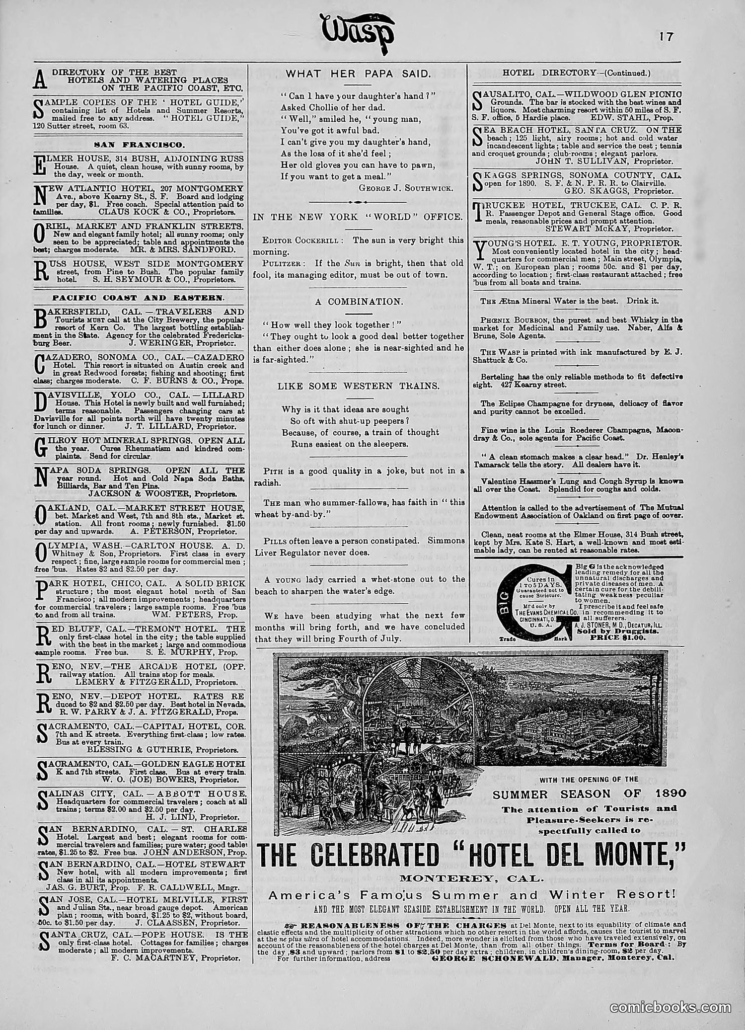 The Wasp — 1890 — page 508 of 516