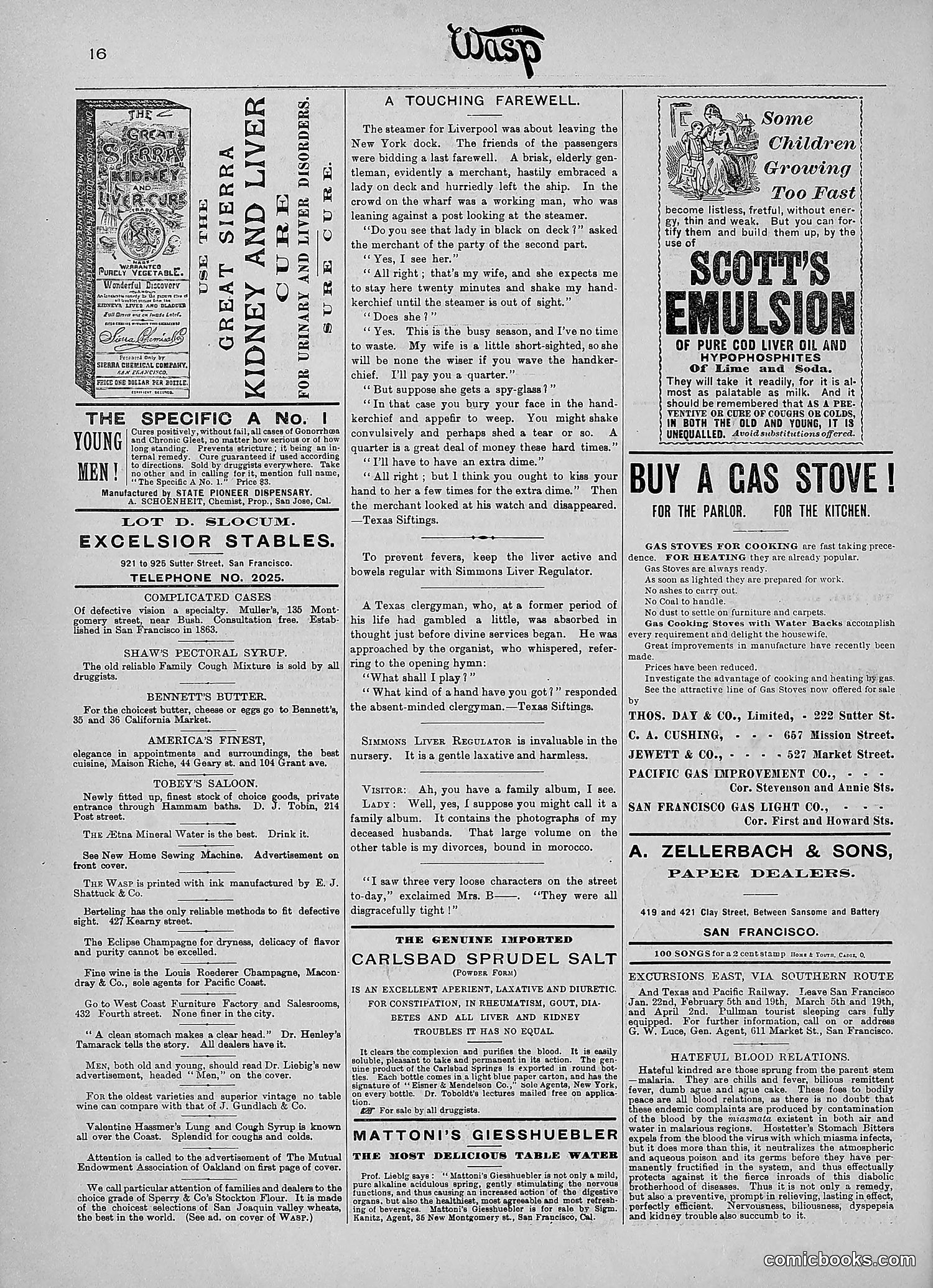 The Wasp — 1890 — page 81 of 516