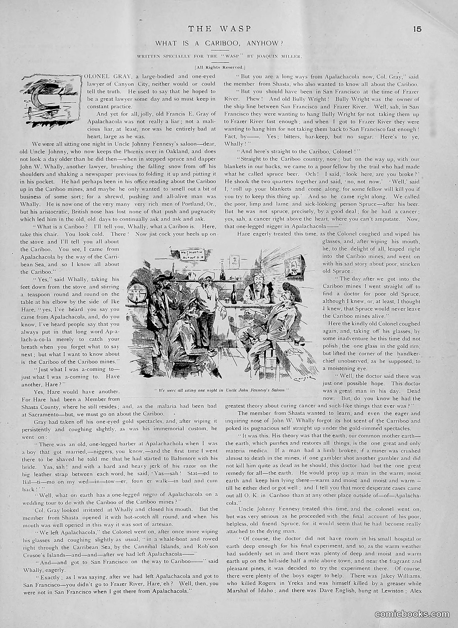 The Wasp — 1891 — page 104 of 612