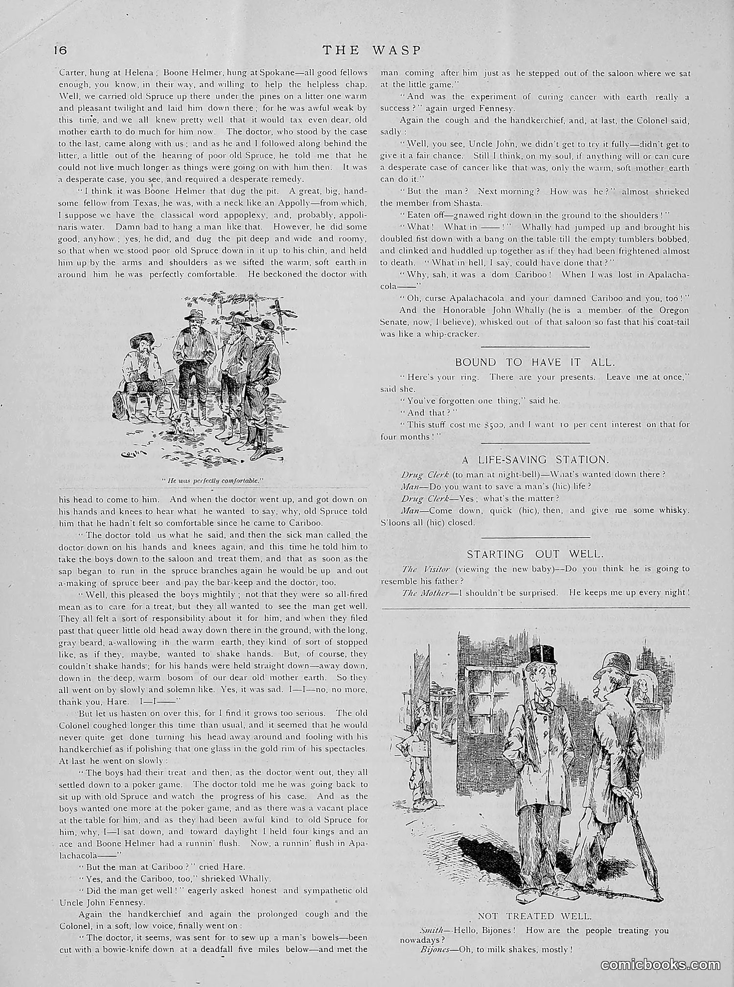 The Wasp — 1891 — page 105 of 612