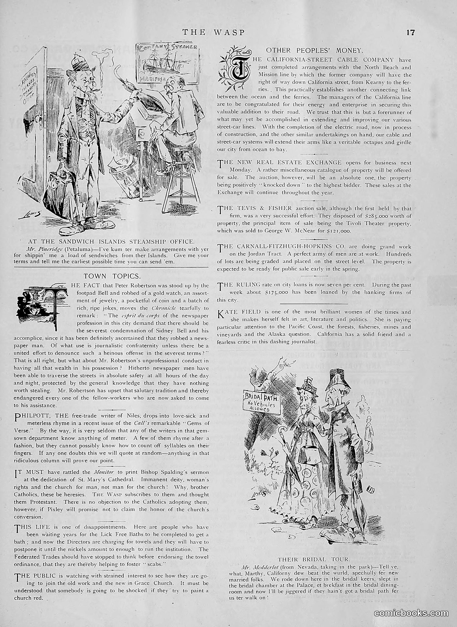 The Wasp — 1891 — page 106 of 612