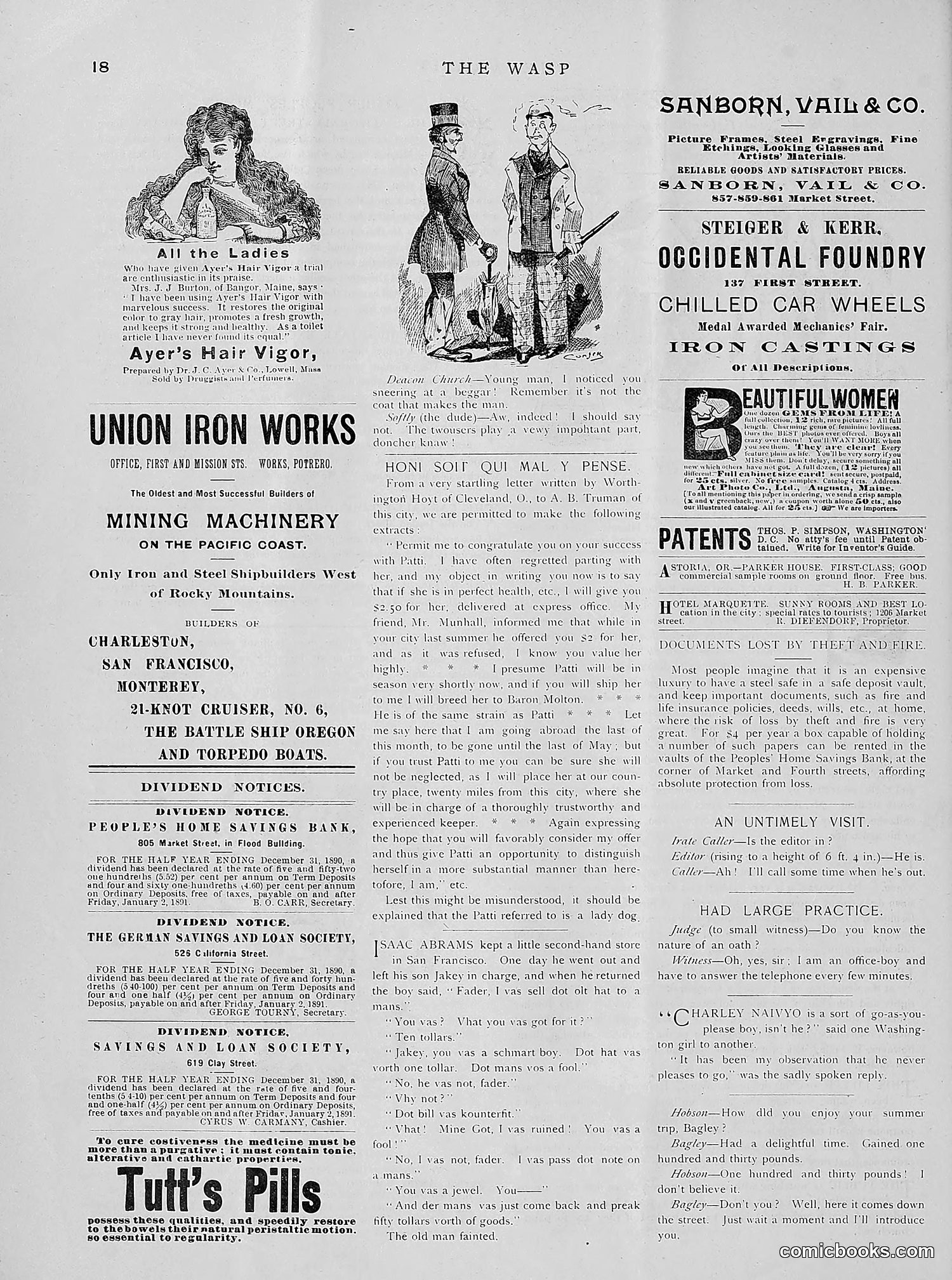 The Wasp — 1891 — page 107 of 612