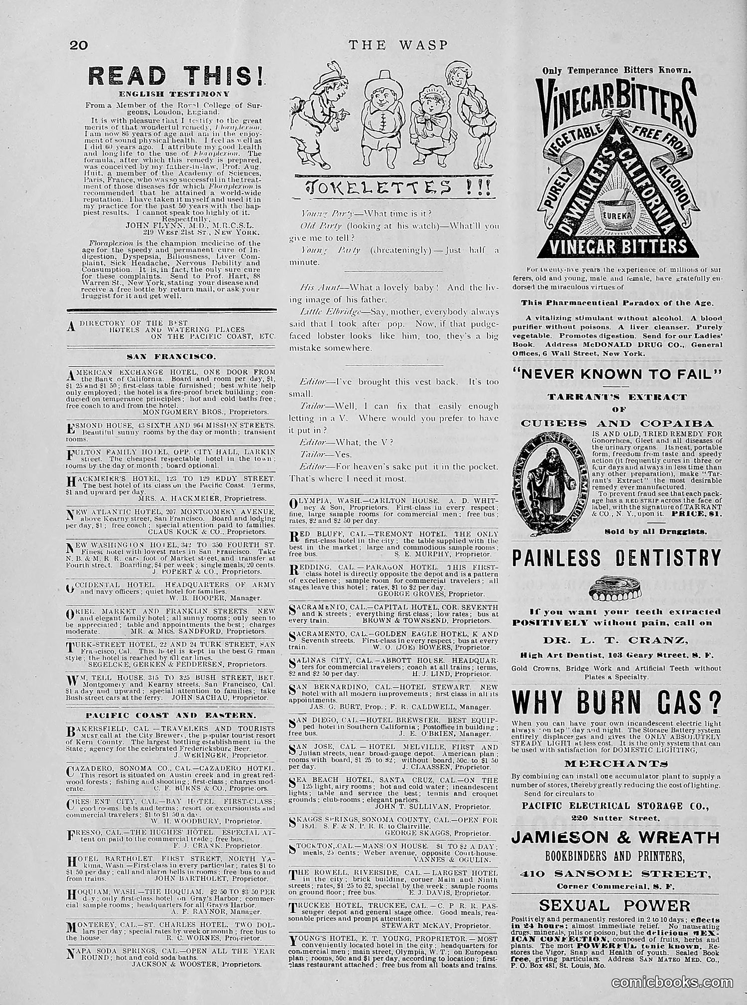 The Wasp — 1891 — page 109 of 612
