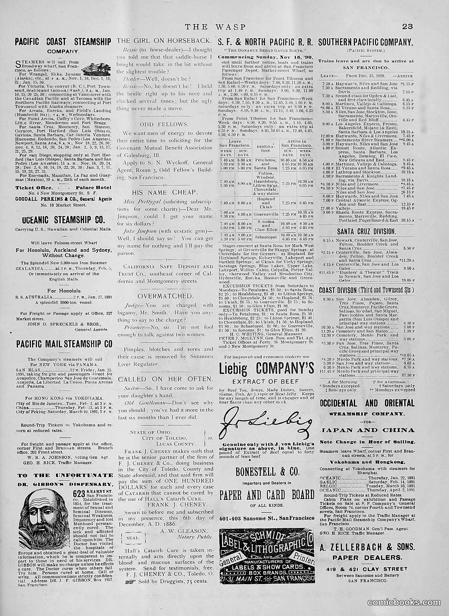 The Wasp — 1891 — page 112 of 612