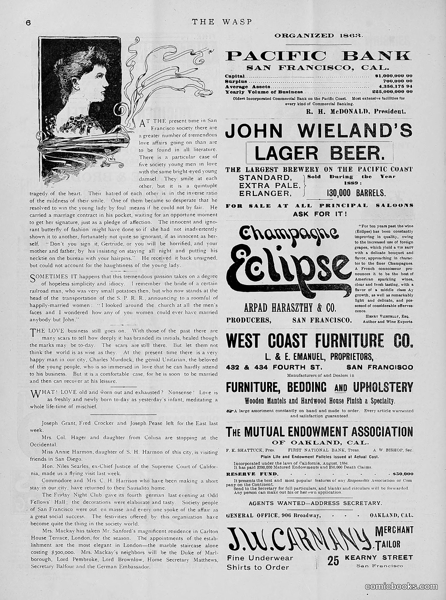 The Wasp — 1891 — page 119 of 612