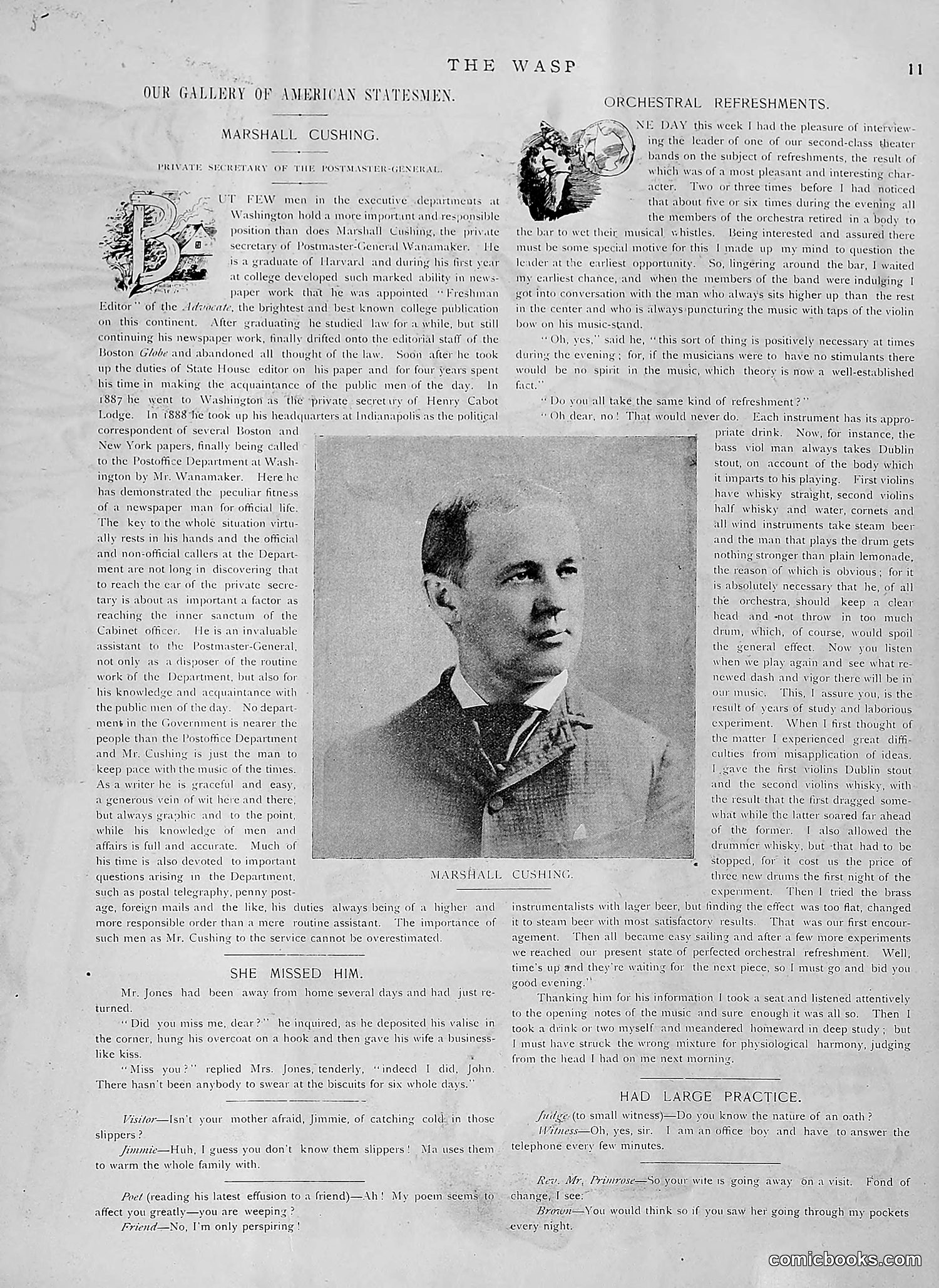 The Wasp — 1891 — page 124 of 612