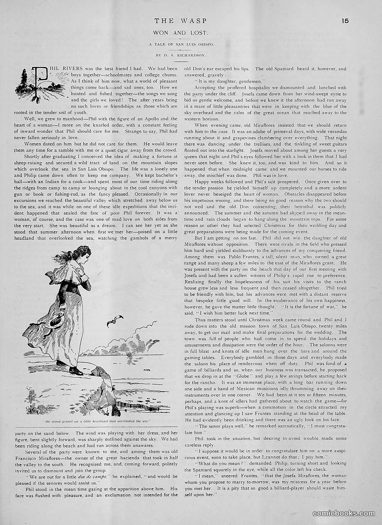 The Wasp — 1891 — page 128 of 612