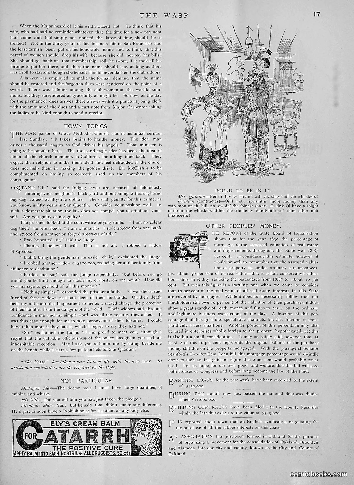The Wasp — 1891 — page 130 of 612