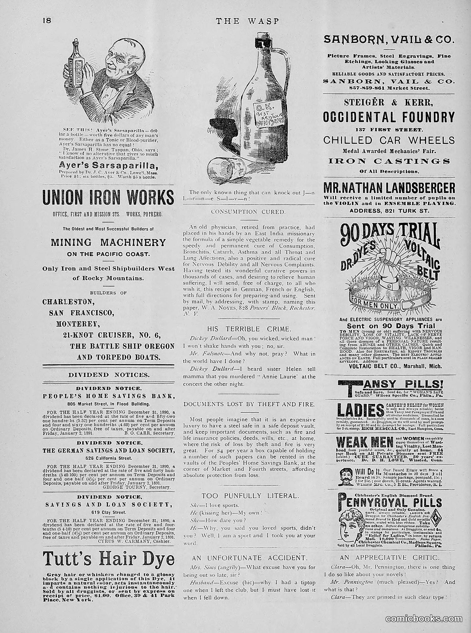 The Wasp — 1891 — page 131 of 612