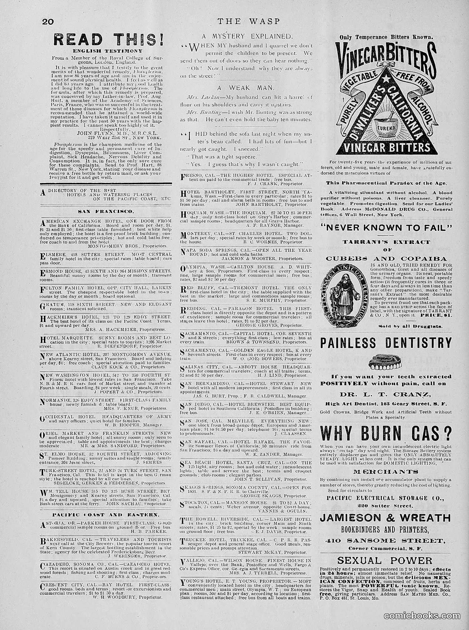The Wasp — 1891 — page 133 of 612
