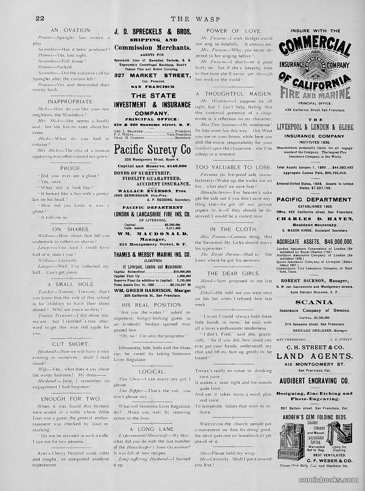 The Wasp — 1891 — page 135 of 612