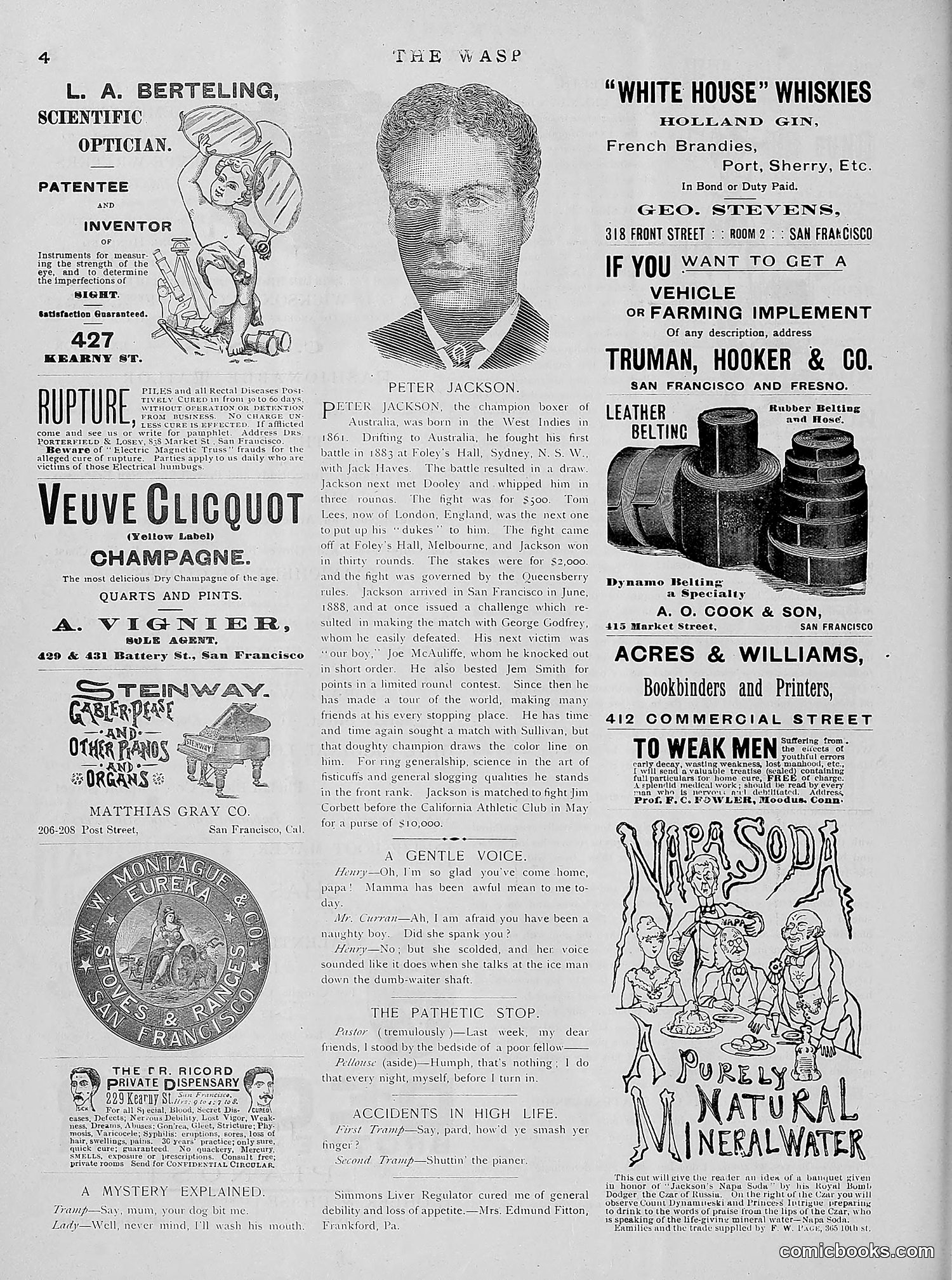 The Wasp — 1891 — page 141 of 612