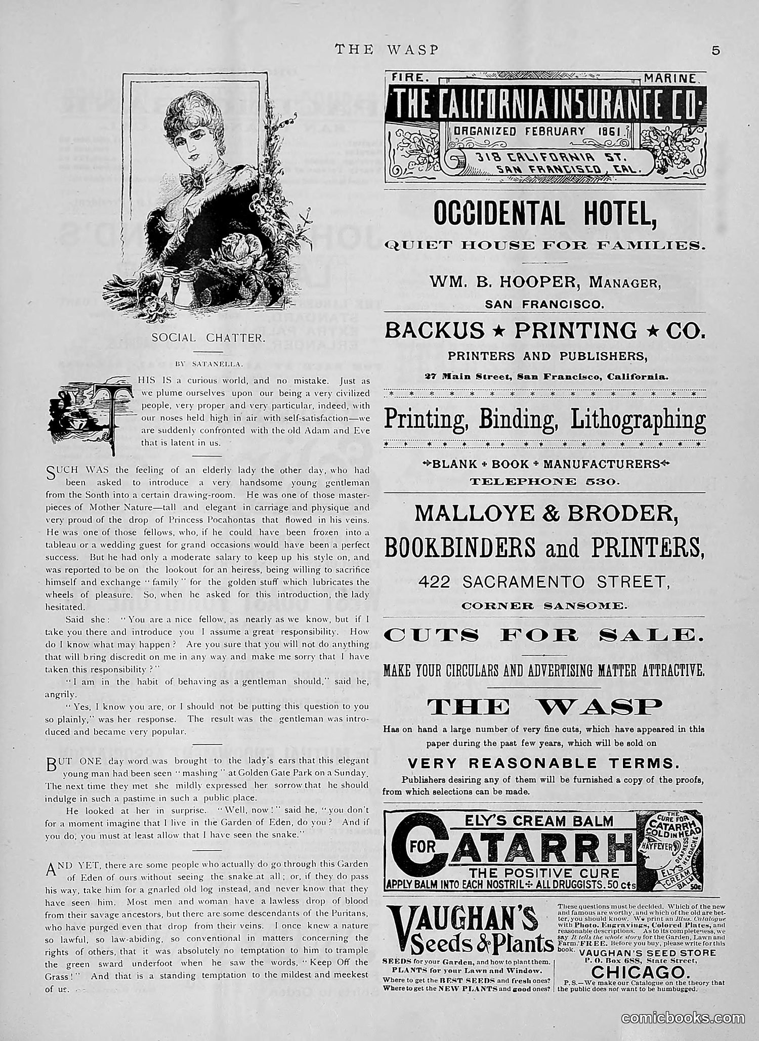 The Wasp — 1891 — page 142 of 612