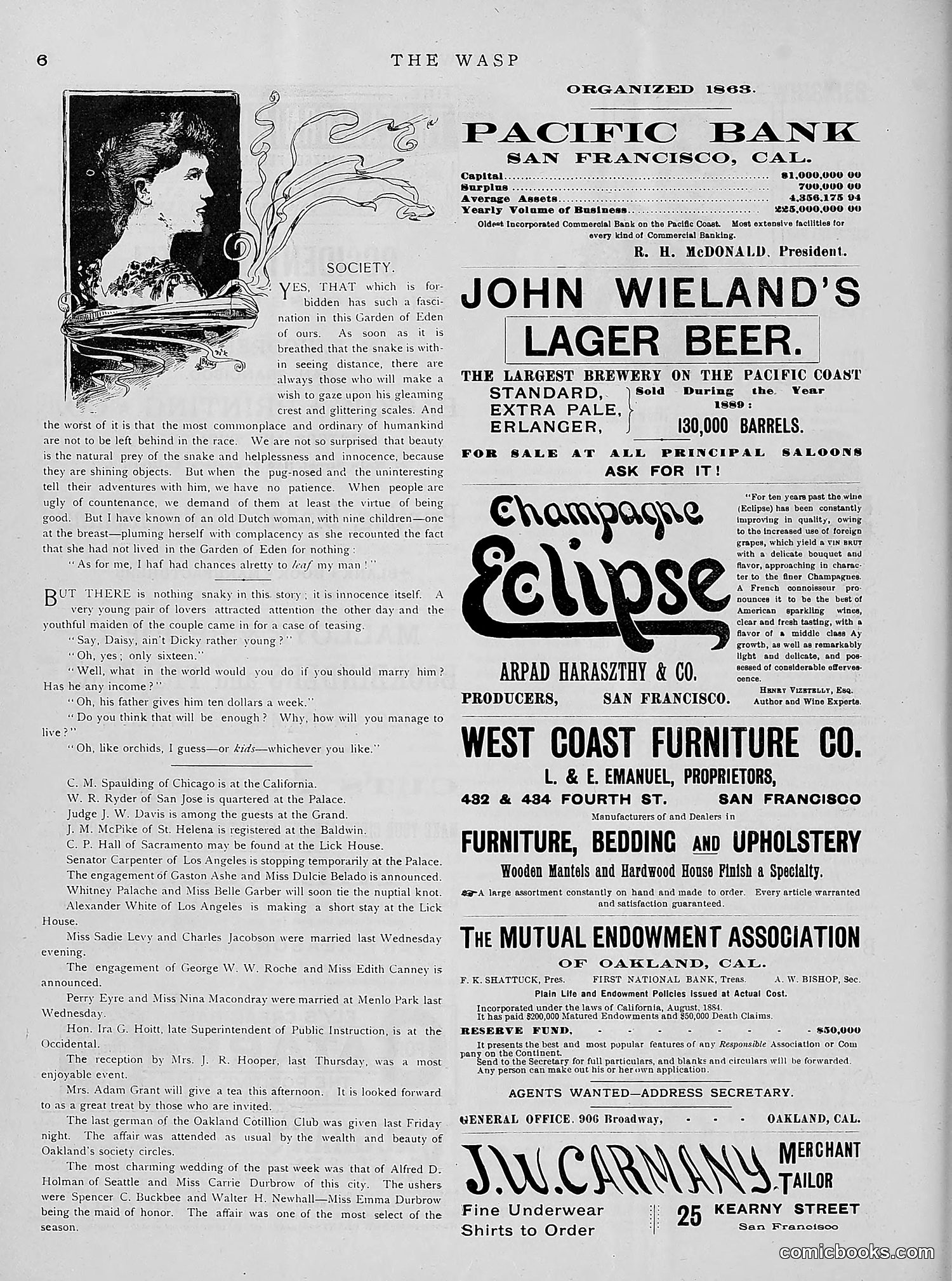 The Wasp — 1891 — page 143 of 612