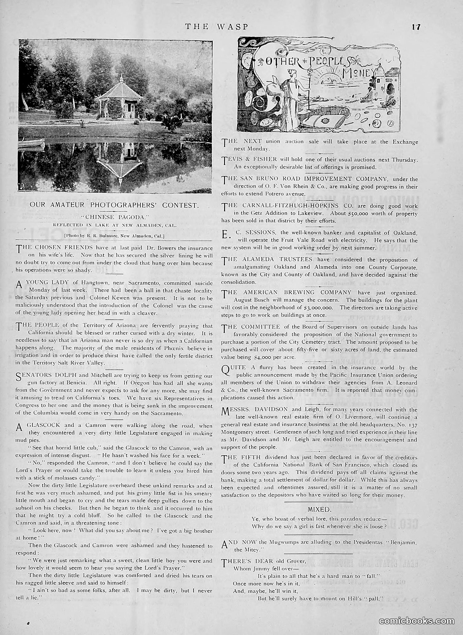 The Wasp — 1891 — page 154 of 612