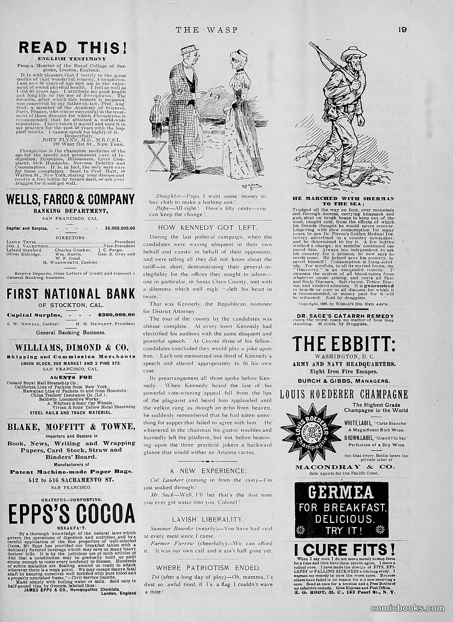 The Wasp — 1891 — page 156 of 612