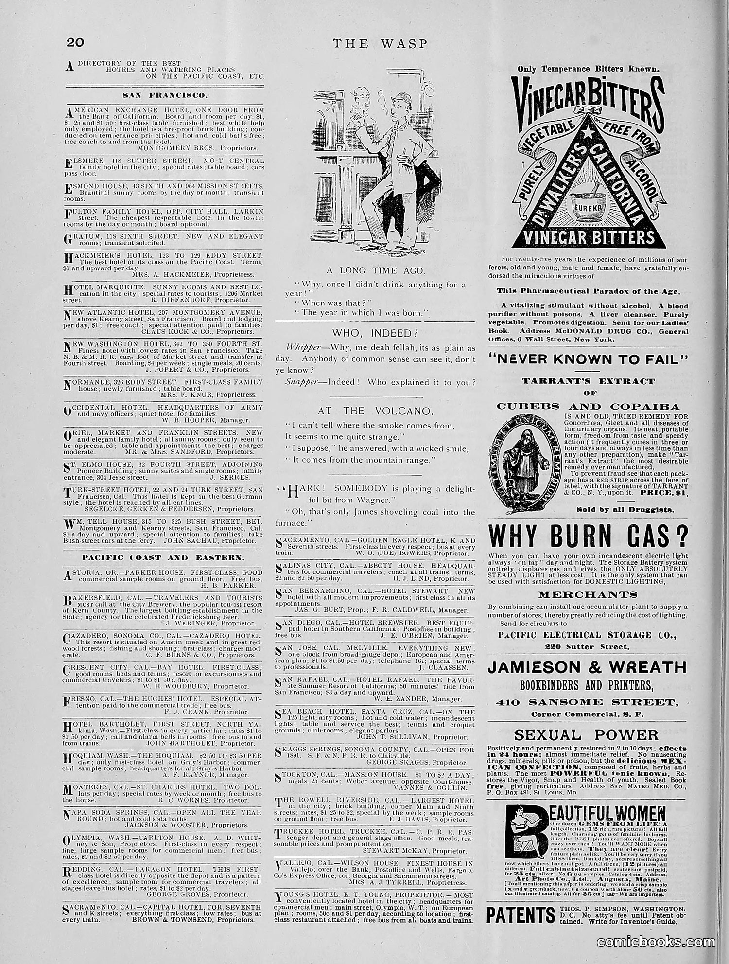 The Wasp — 1891 — page 157 of 612