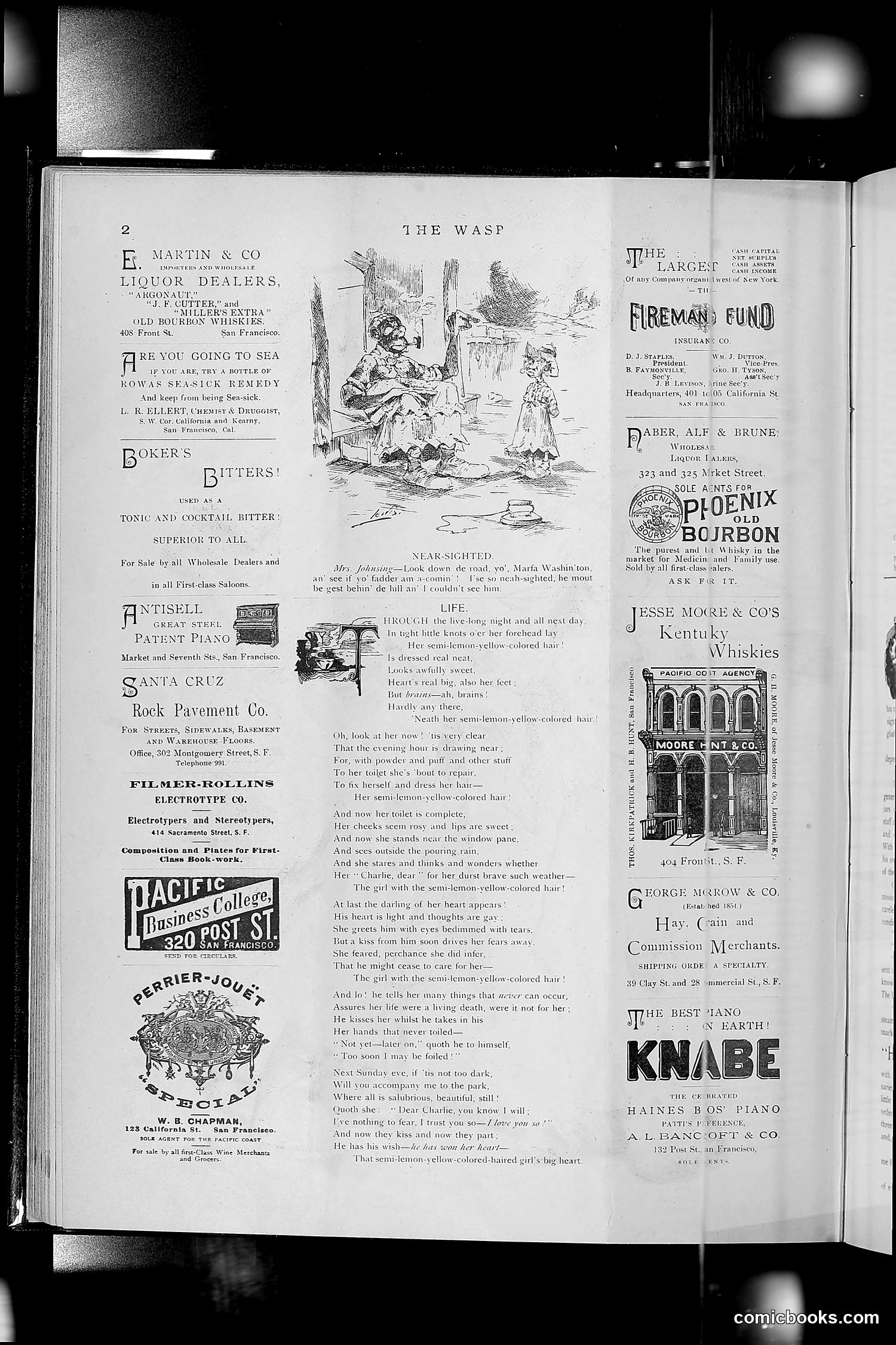 The Wasp — 1891 — page 163 of 612