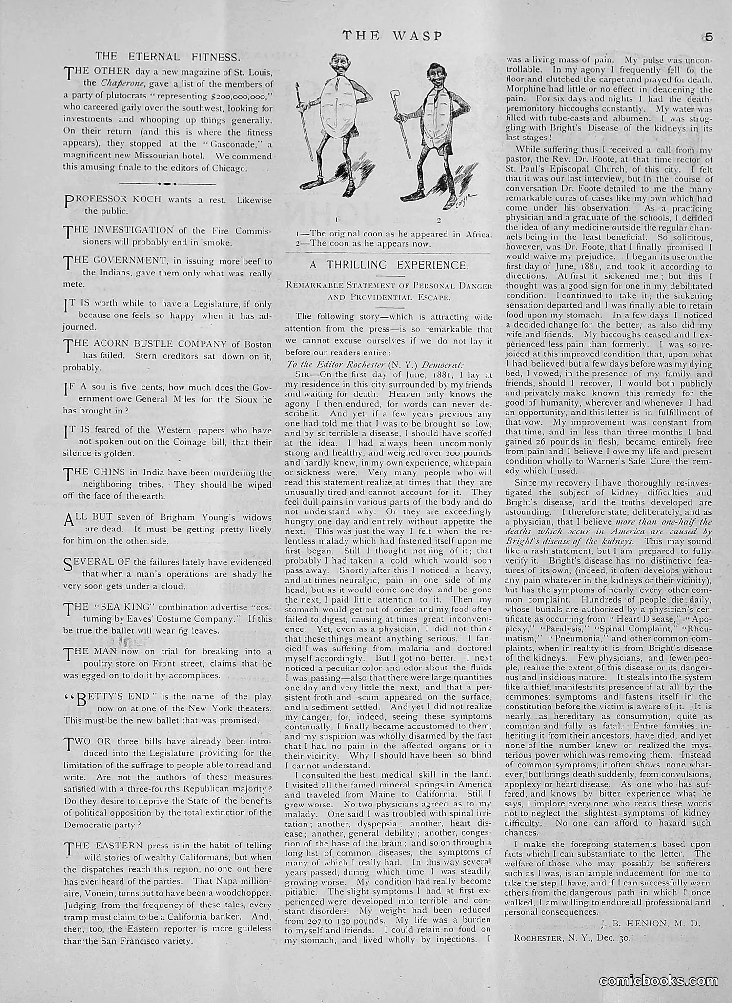 The Wasp — 1891 — page 168 of 612
