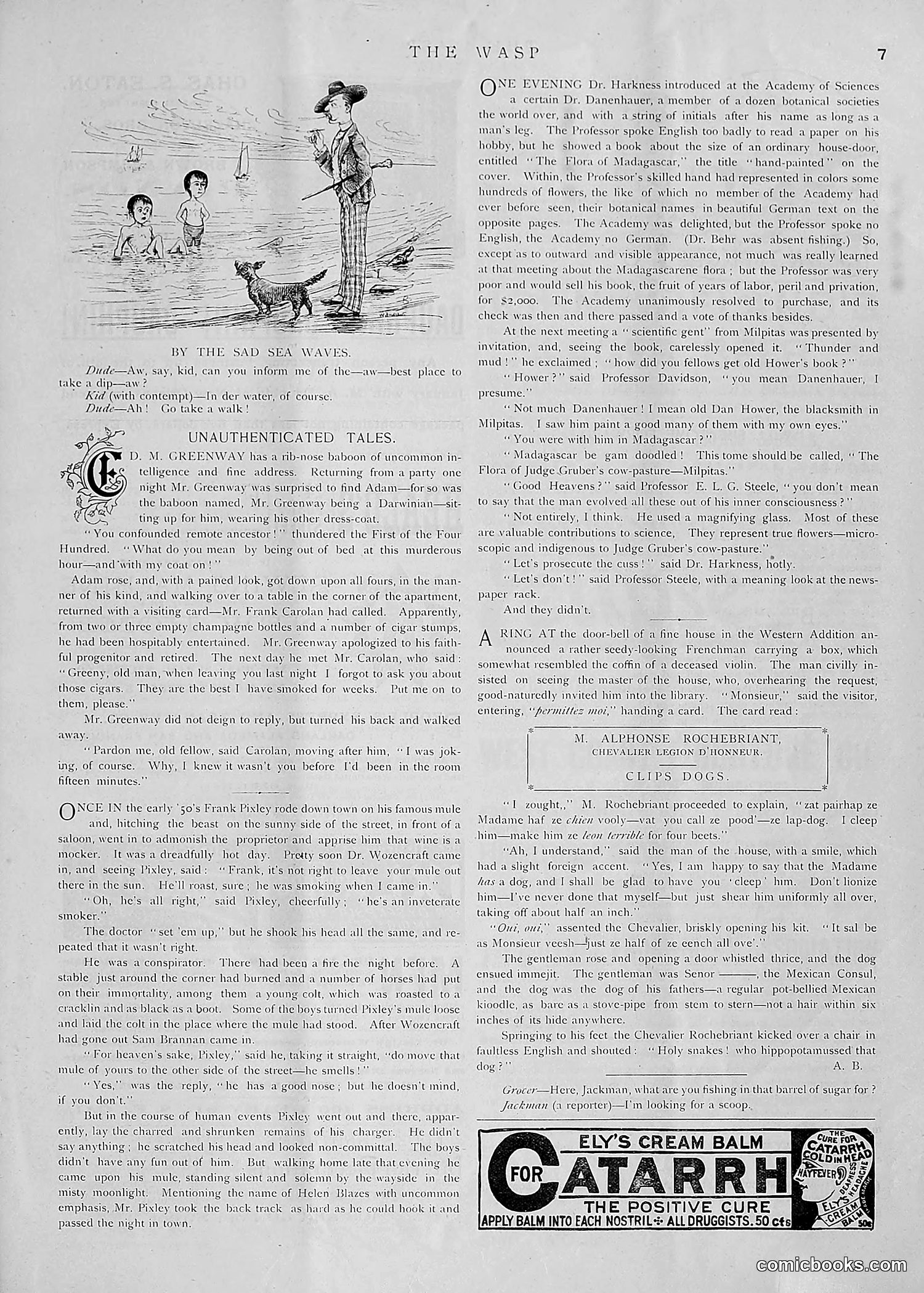 The Wasp — 1891 — page 18 of 612