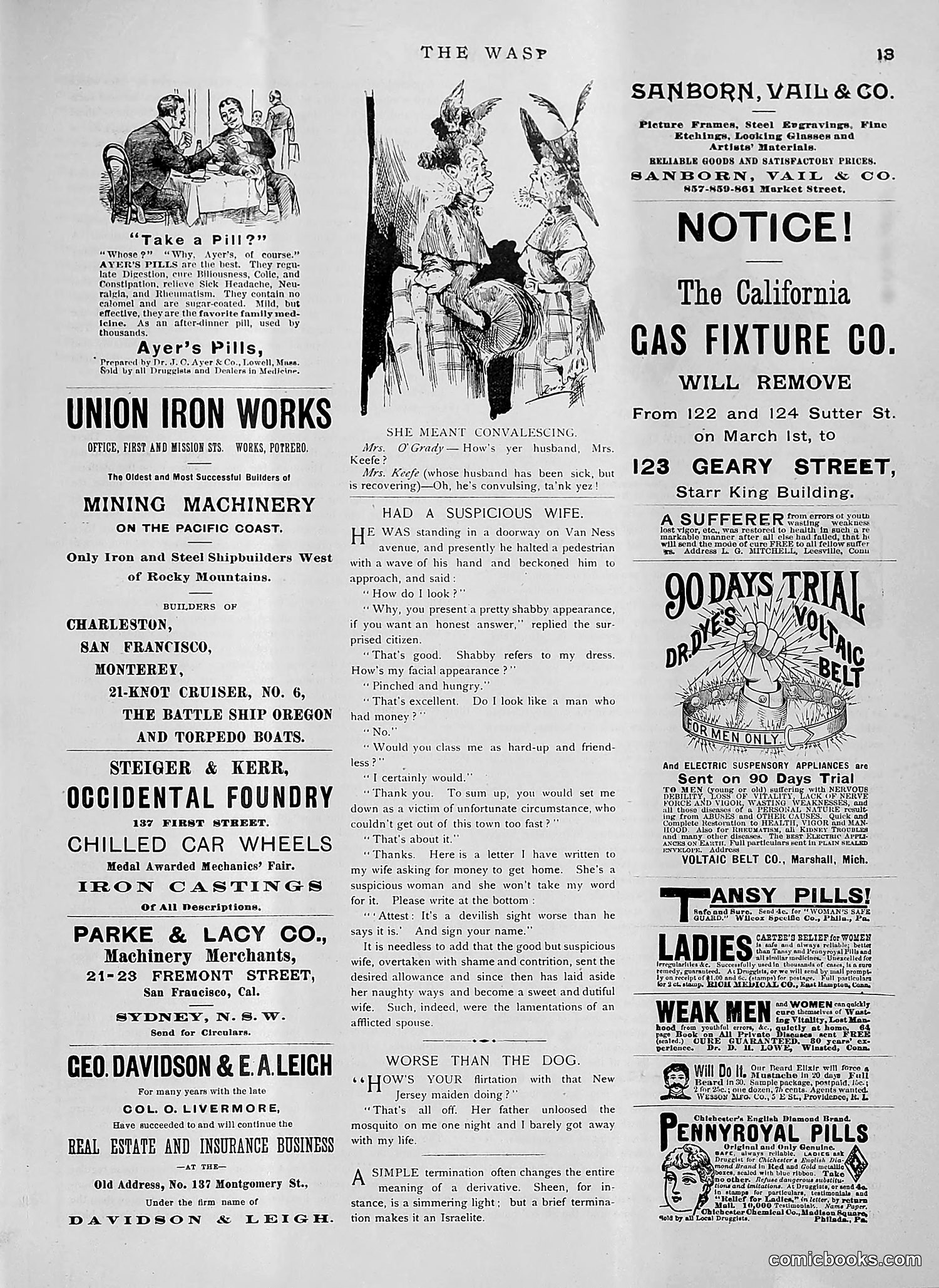 The Wasp — 1891 — page 176 of 612