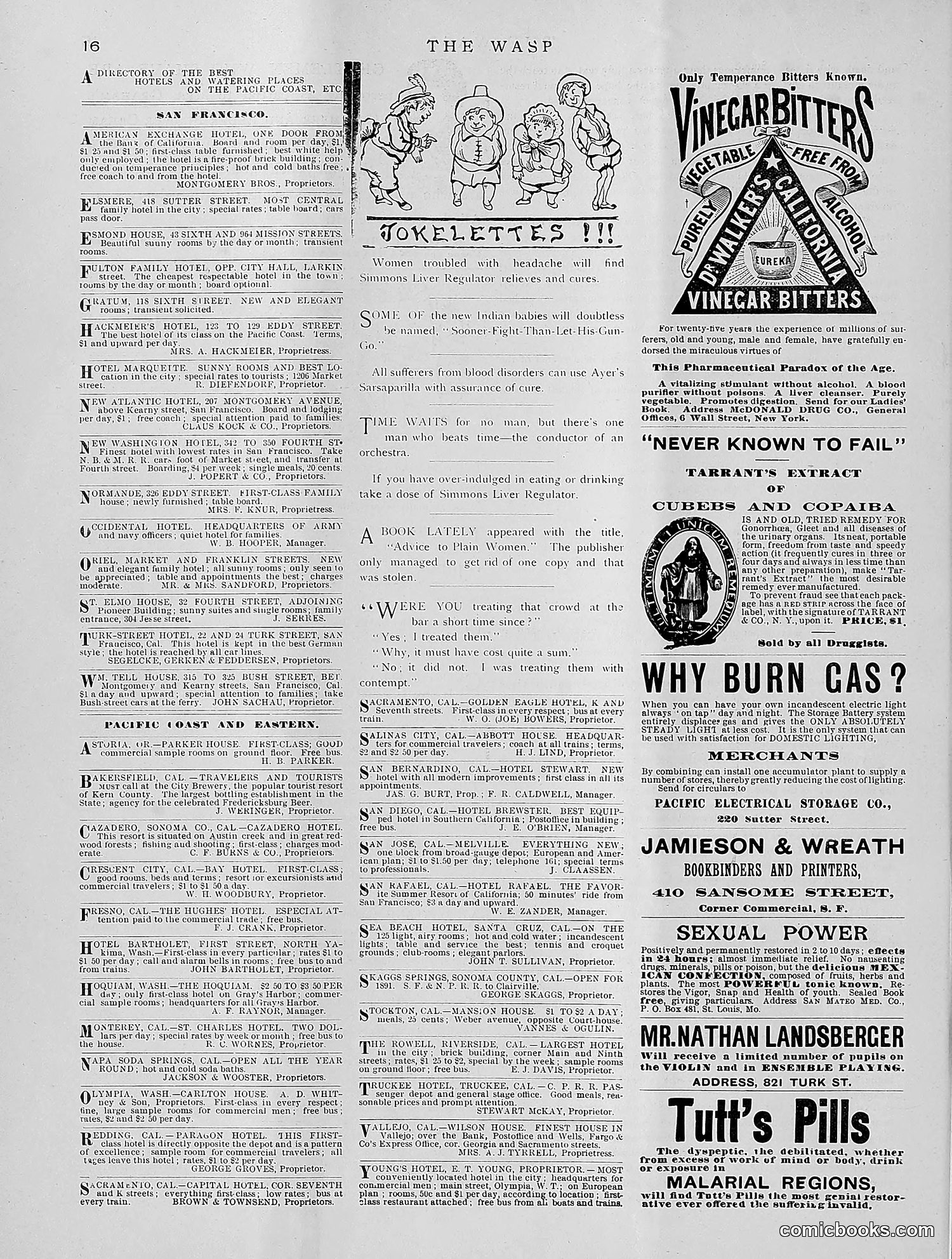 The Wasp — 1891 — page 179 of 612