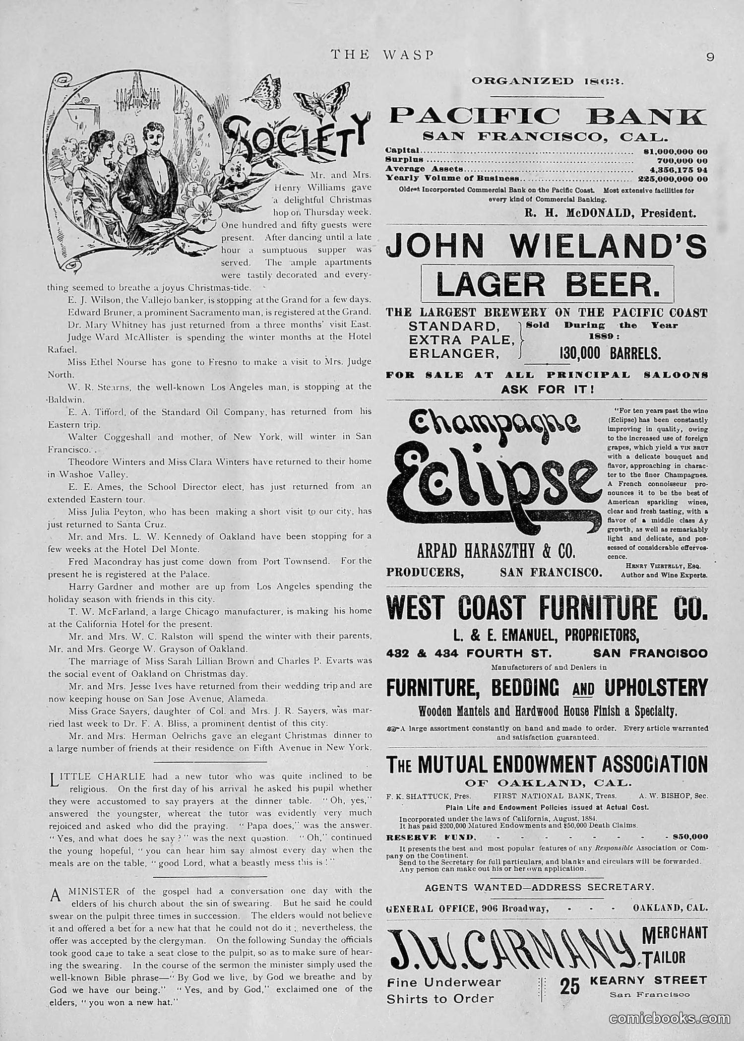 The Wasp — 1891 — page 20 of 612