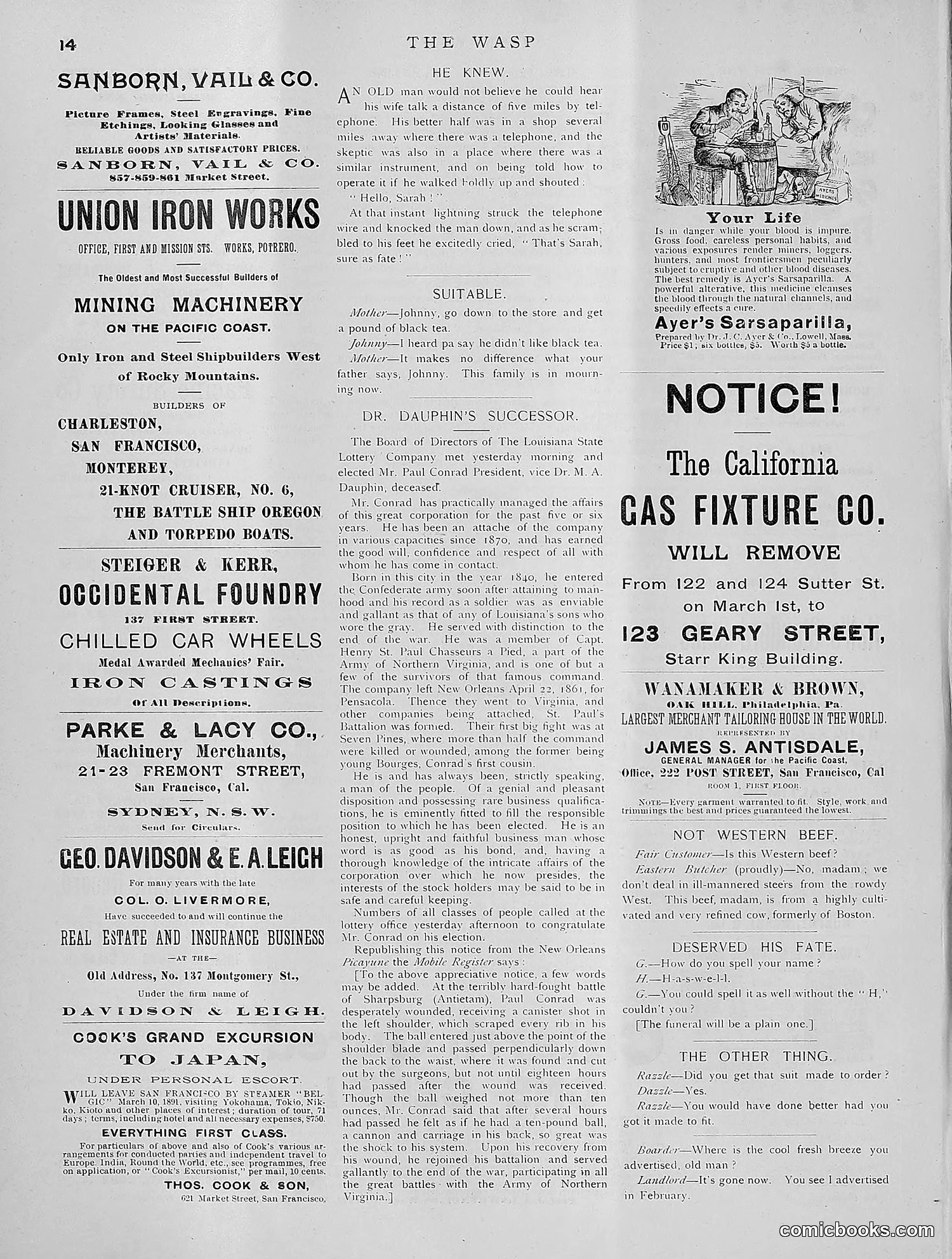 The Wasp — 1891 — page 197 of 612