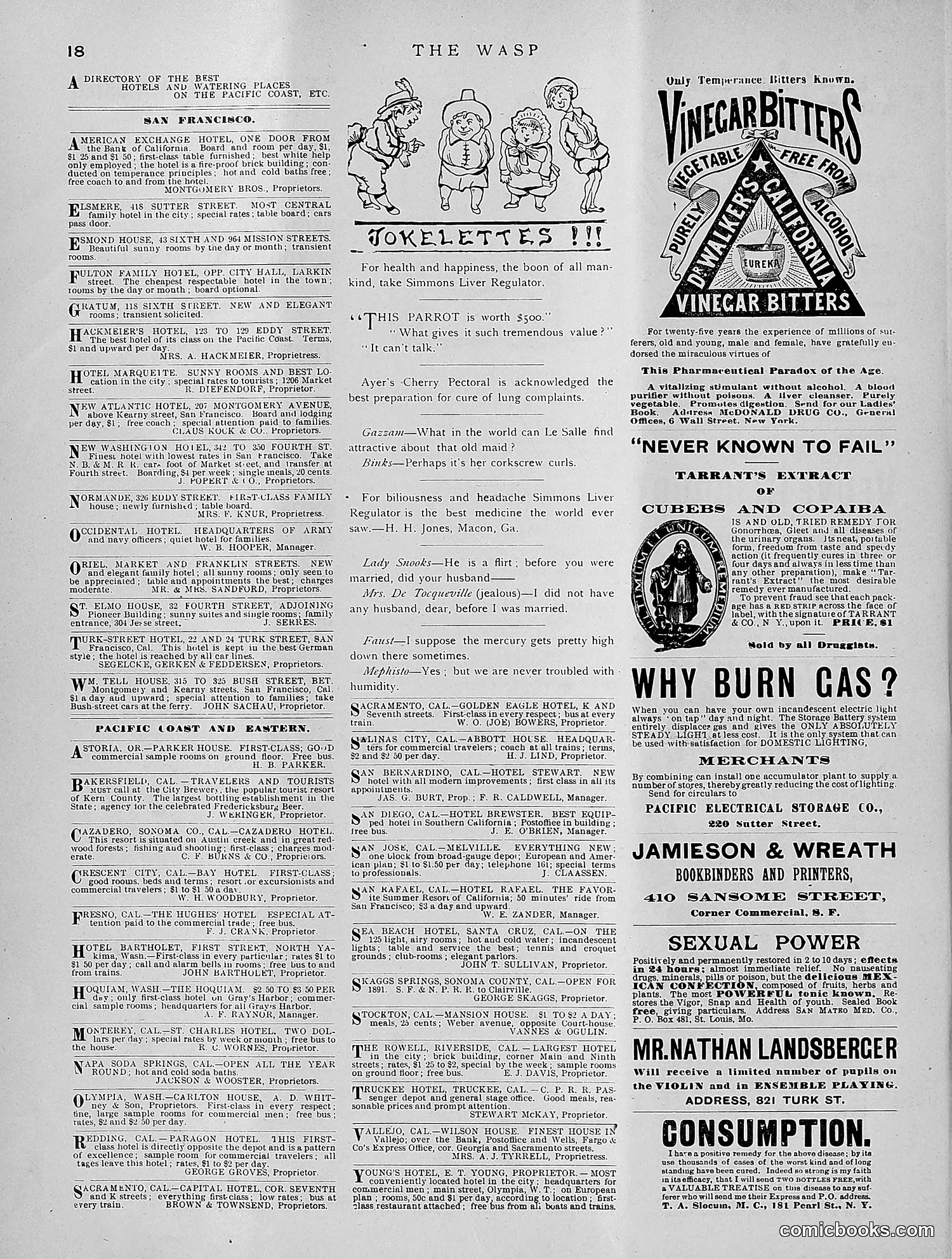 The Wasp — 1891 — page 201 of 612