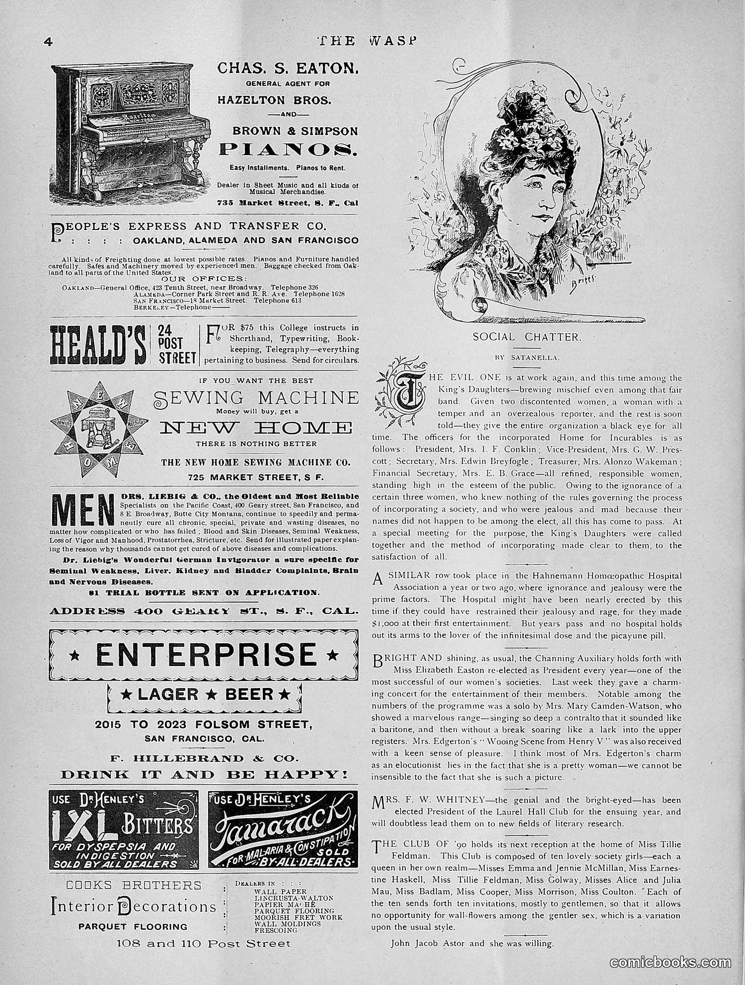 The Wasp — 1891 — page 207 of 612