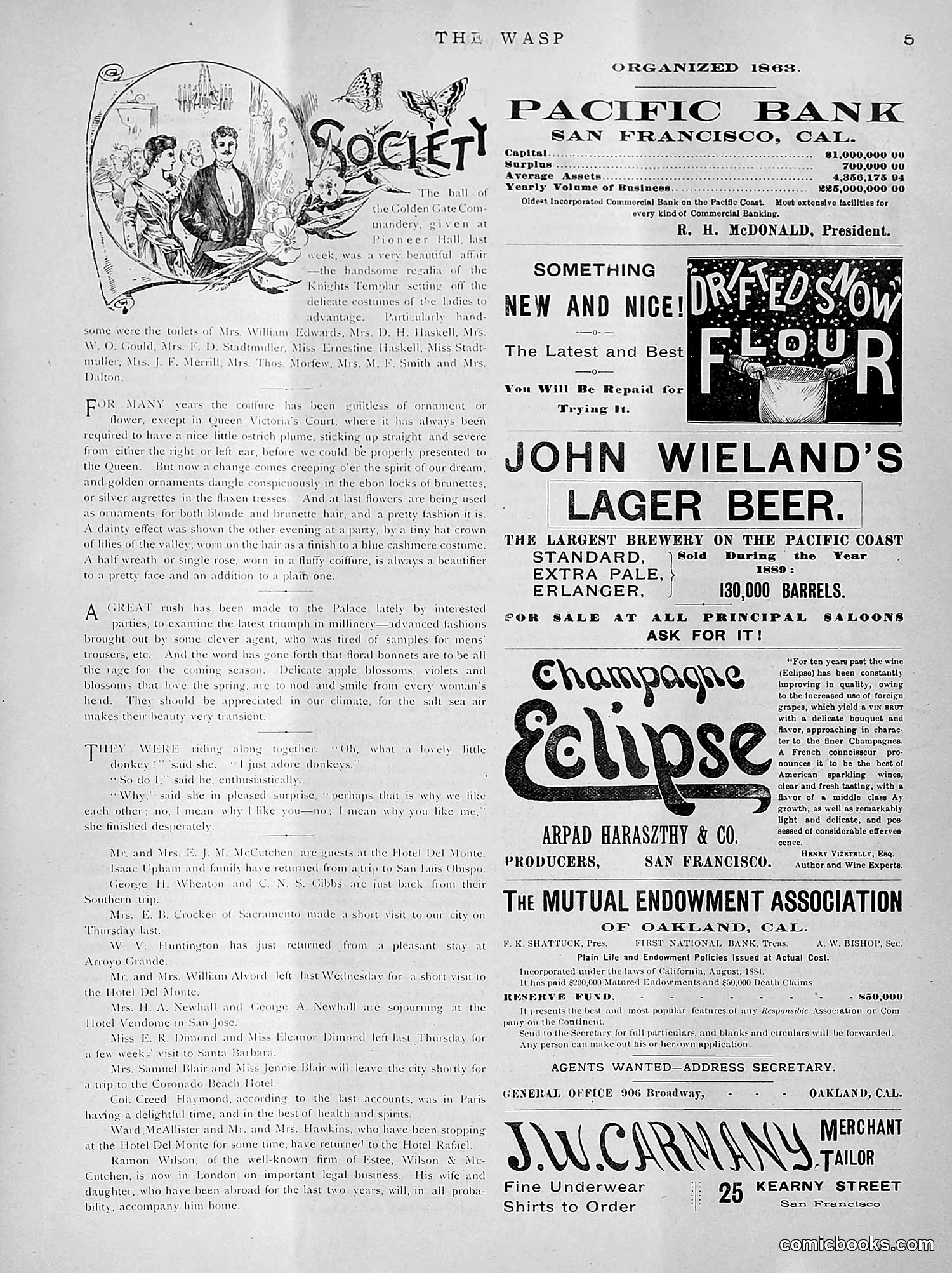 The Wasp — 1891 — page 208 of 612
