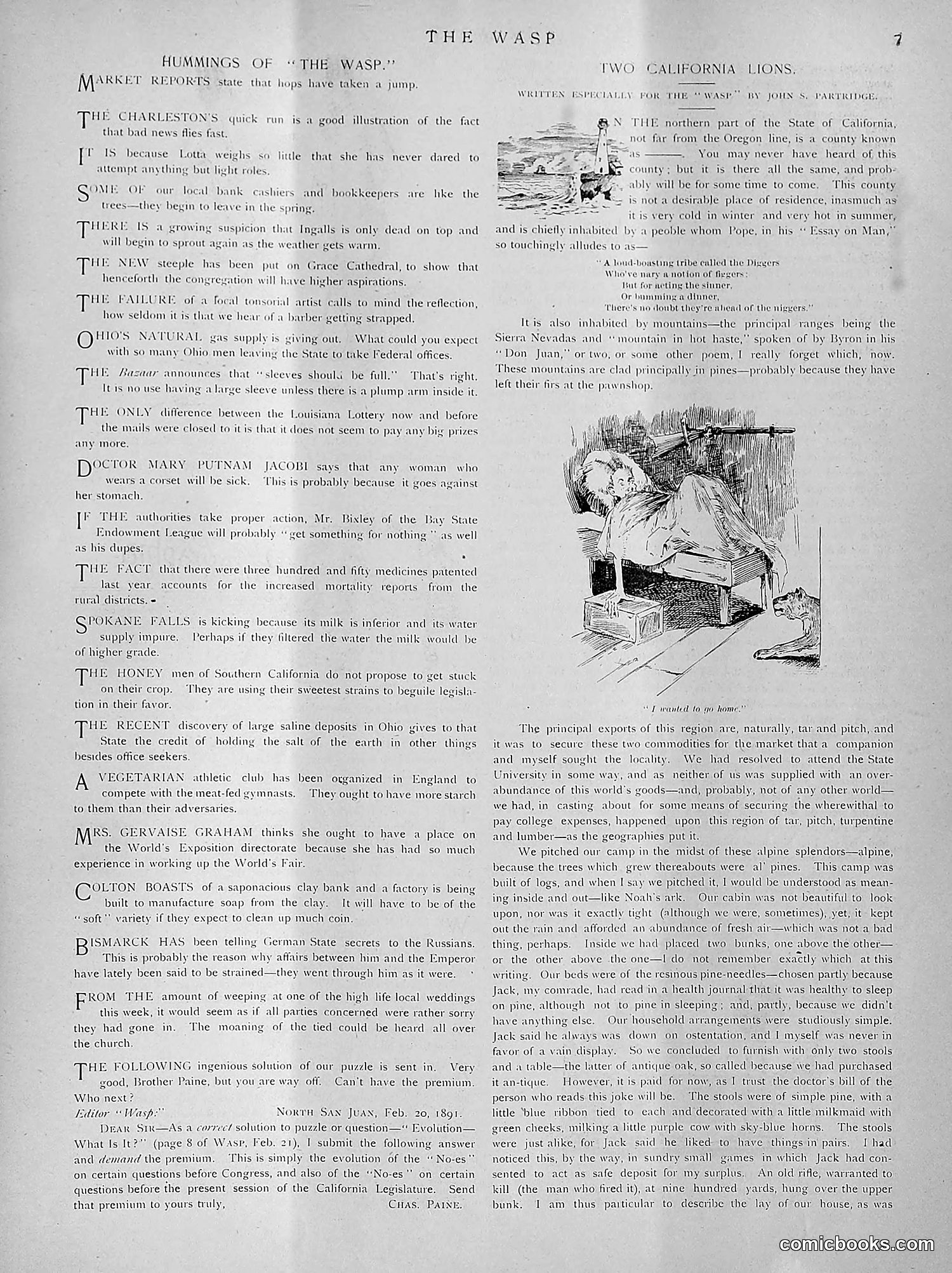 The Wasp — 1891 — page 210 of 612