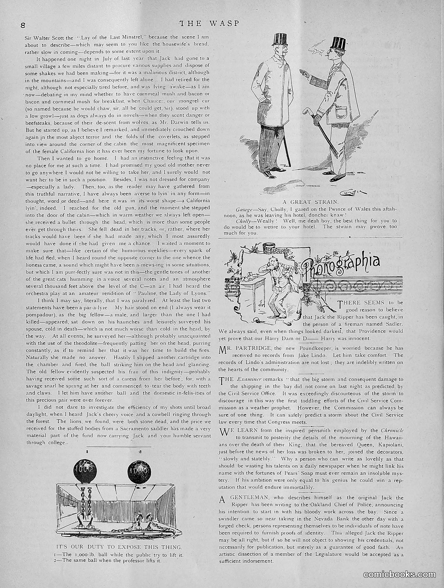 The Wasp — 1891 — page 211 of 612