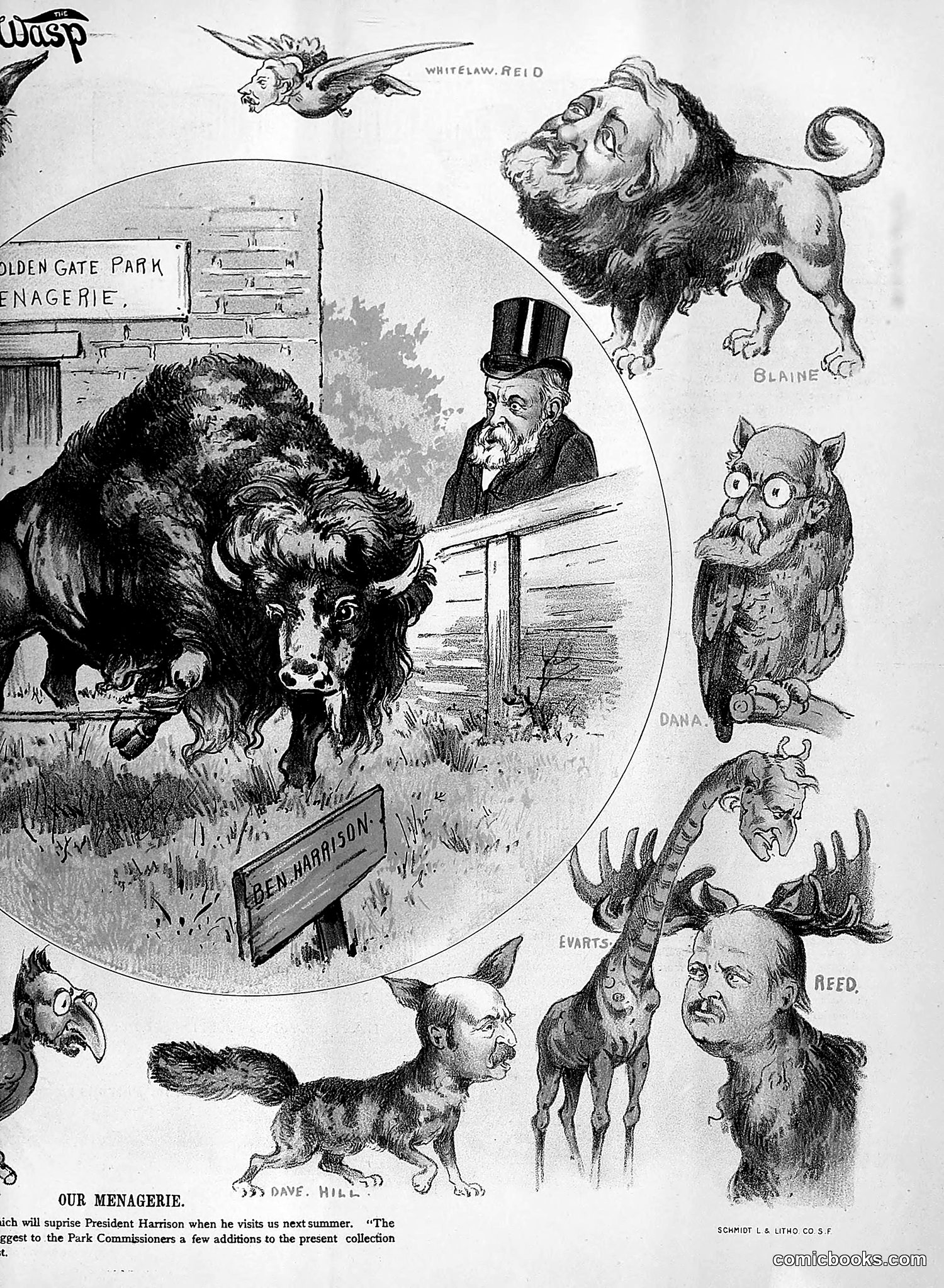 The Wasp — 1891 — page 214 of 612