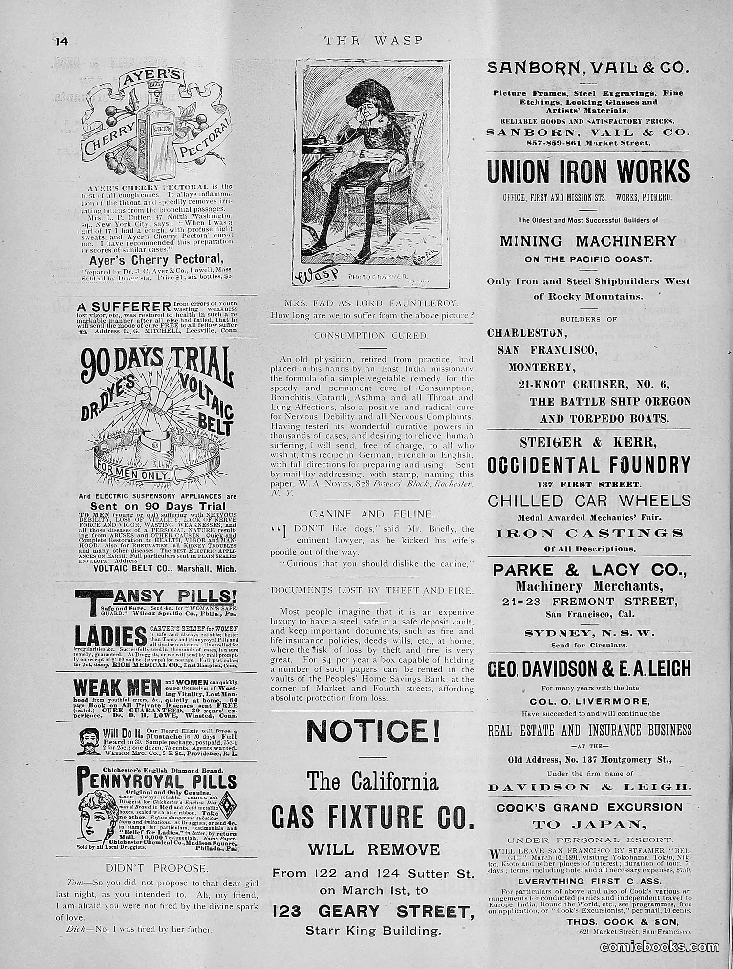The Wasp — 1891 — page 217 of 612